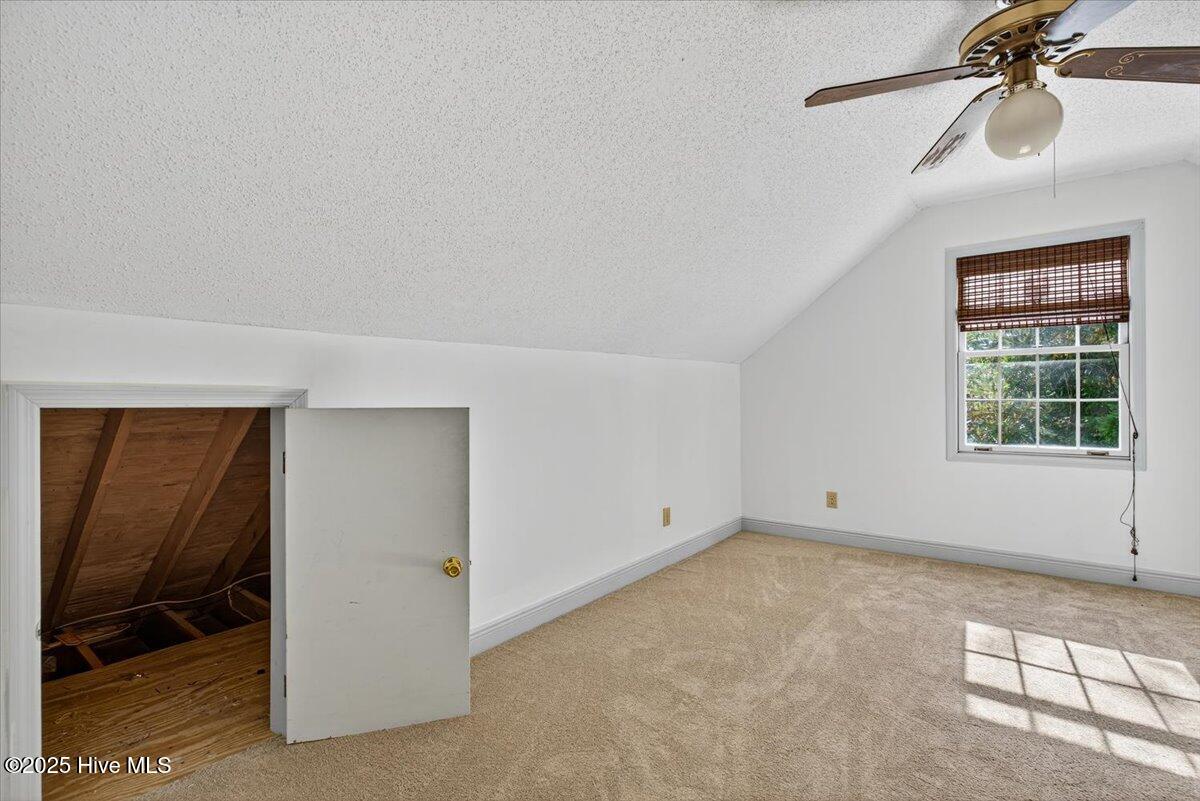 100506546 | Photo 27