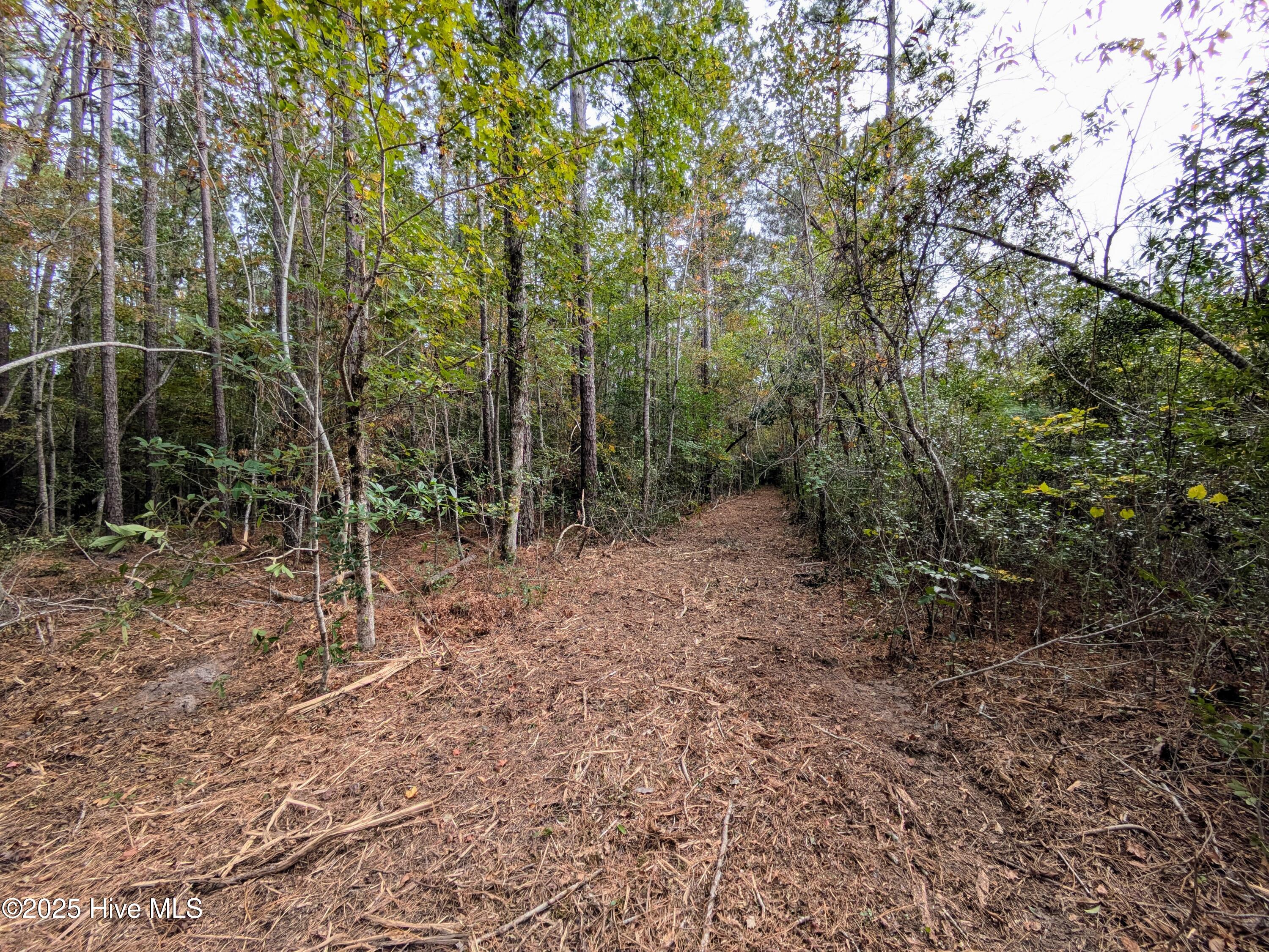 100535245 | Photo 20