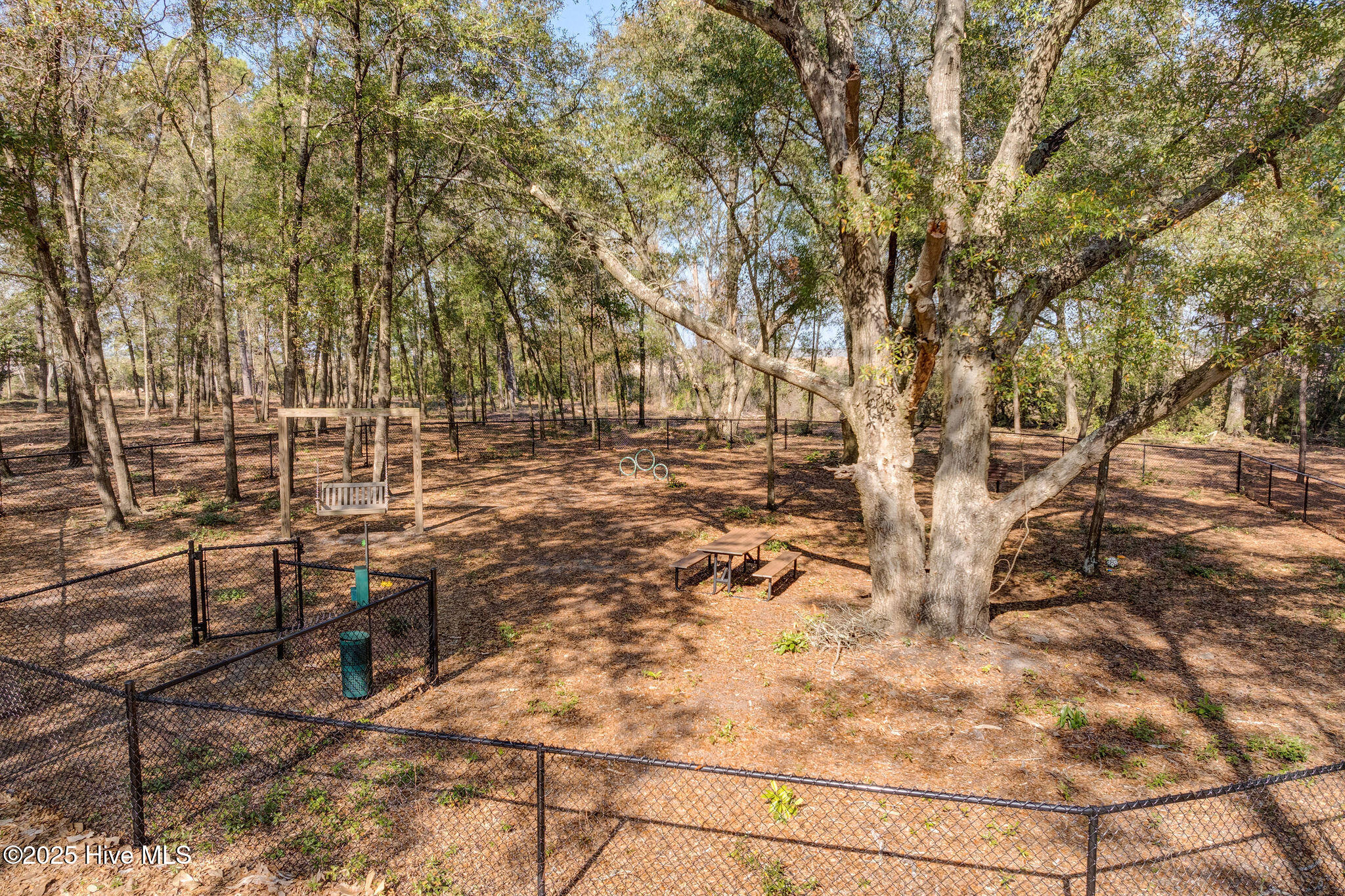 100537676 | Photo 22