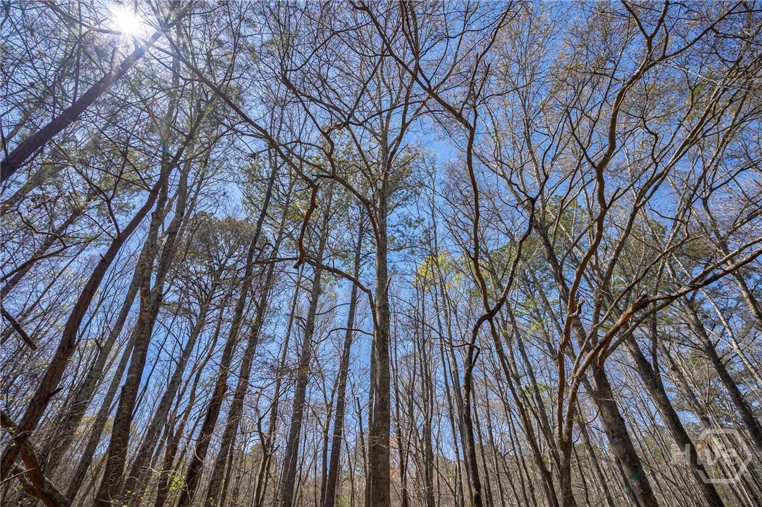 0 Poplar Street, Monroe, GA, 30655