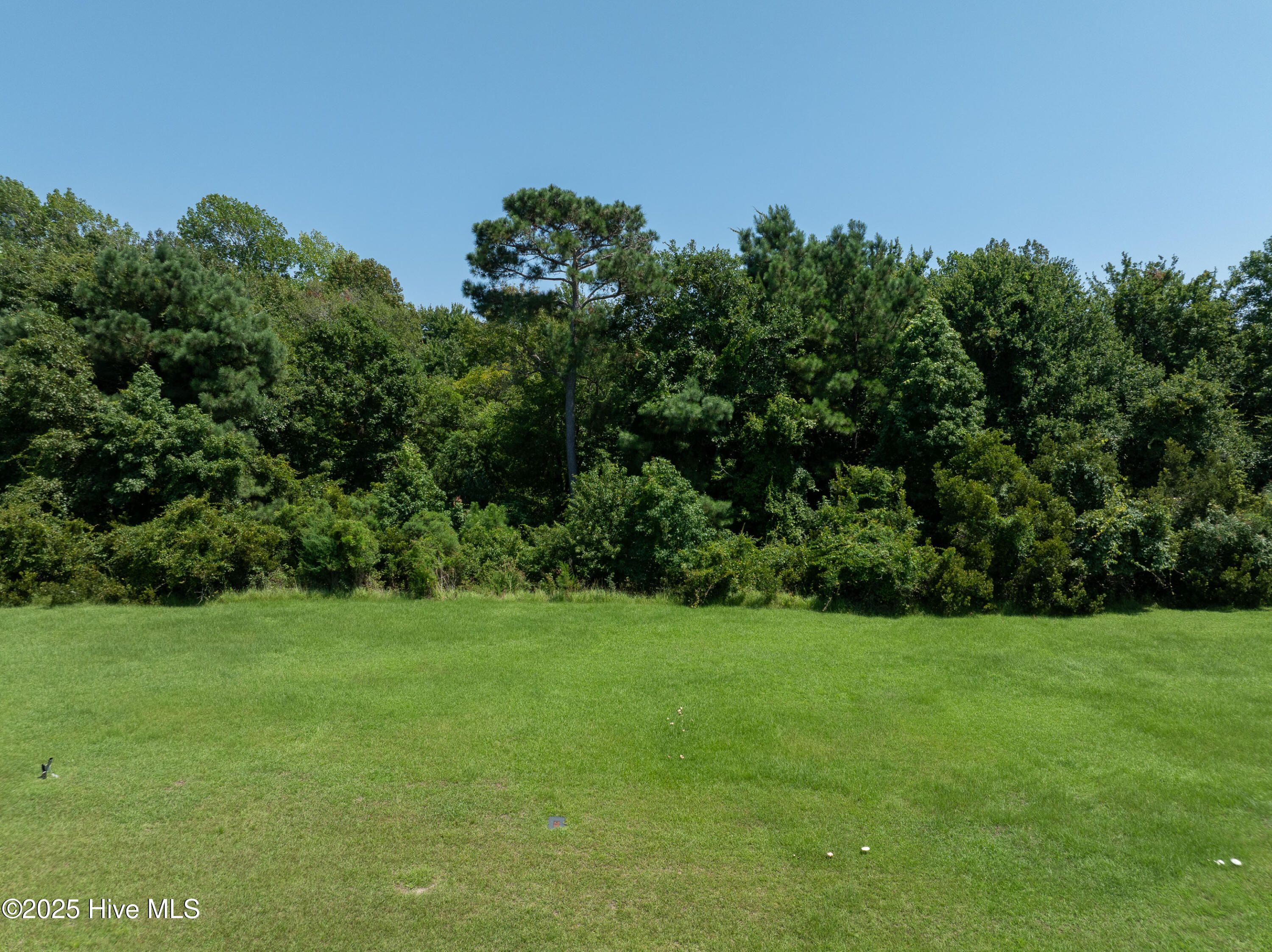 100437407 | Photo 11