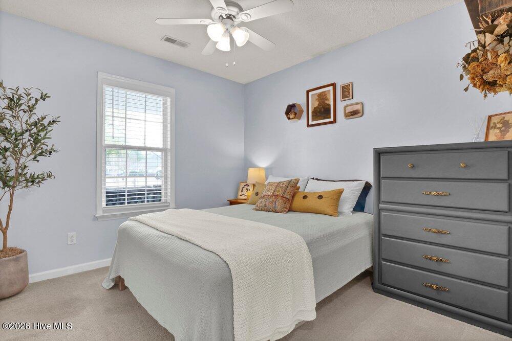 100551608 | Photo 21