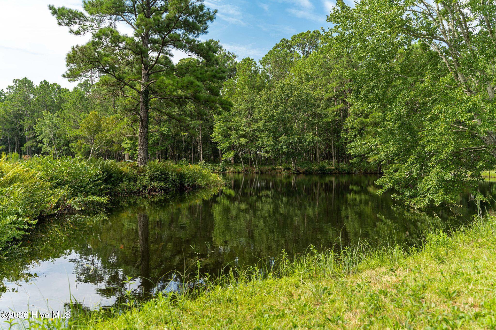 100563683 | Photo 52