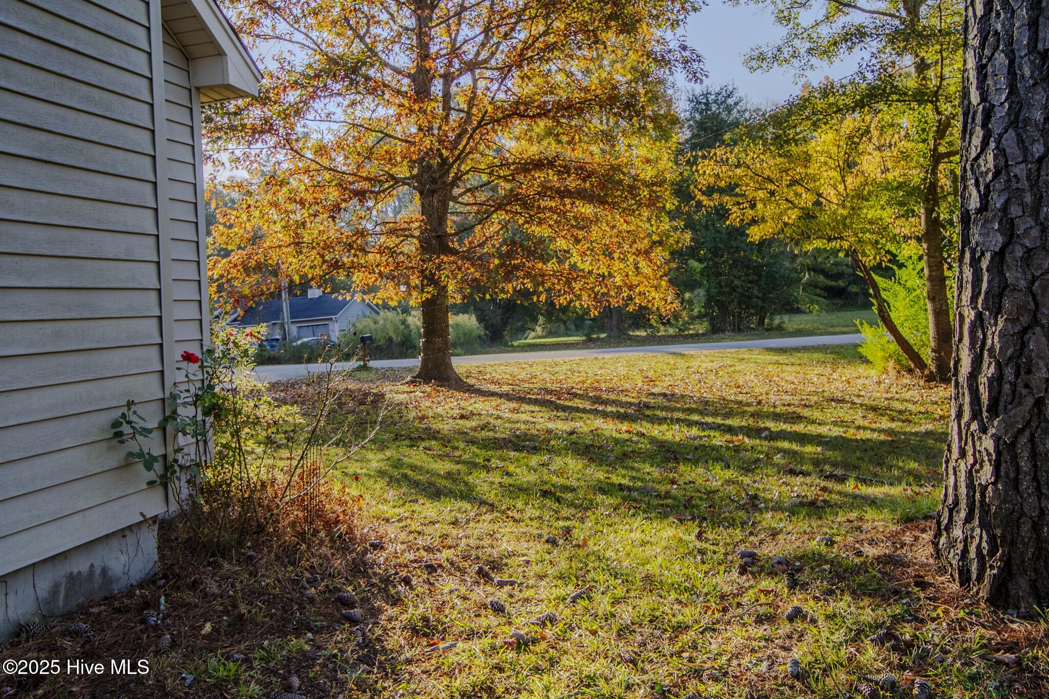 100541041 | Photo 10