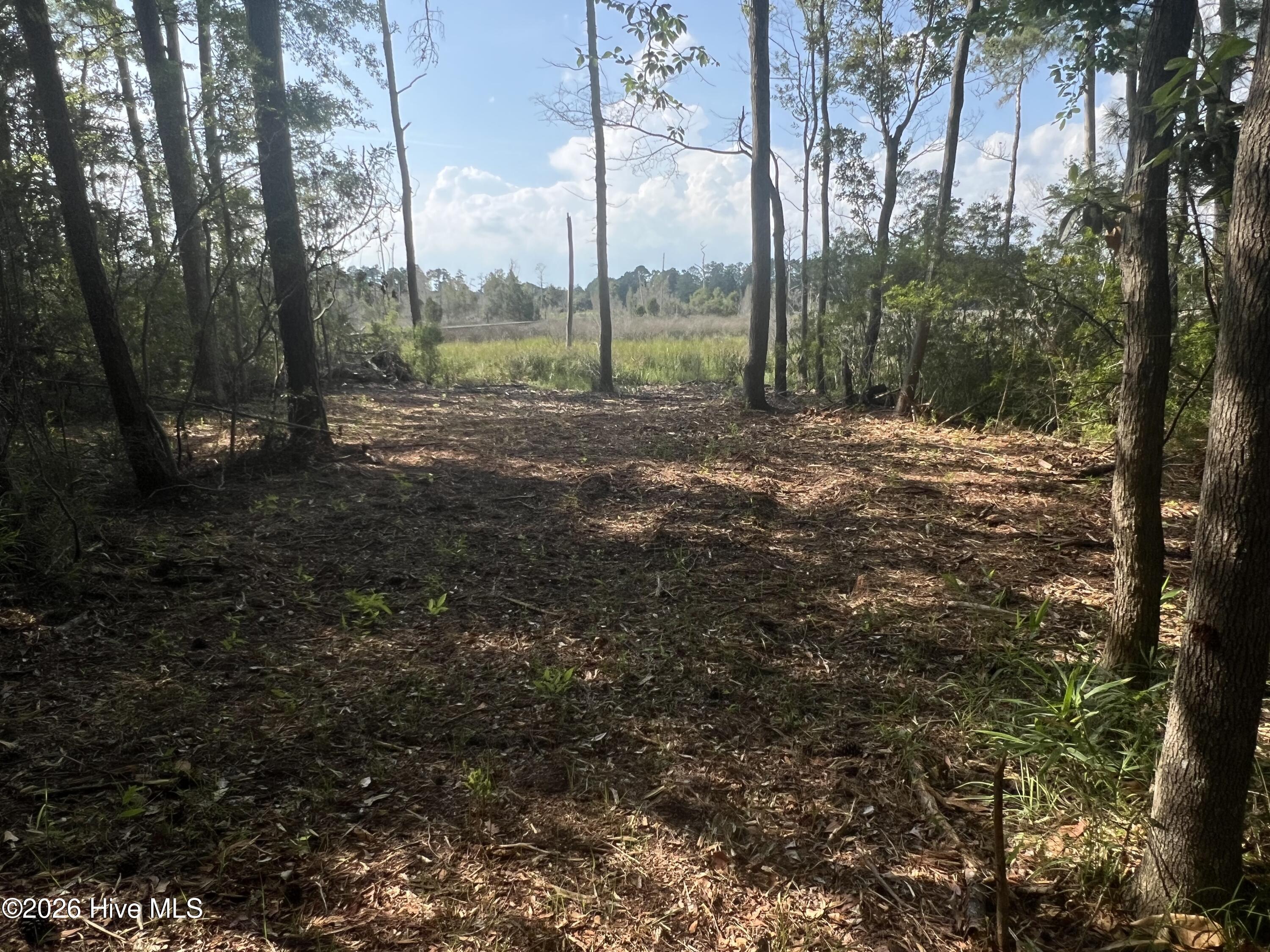 Recently opened up the roadside and trails with a forestry mulcher.
