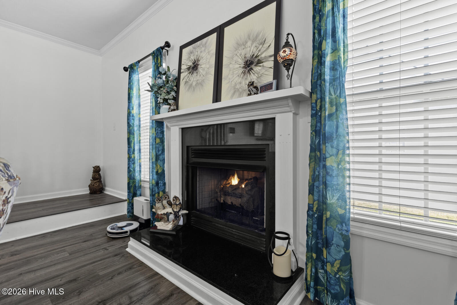 100562743 | Photo 23