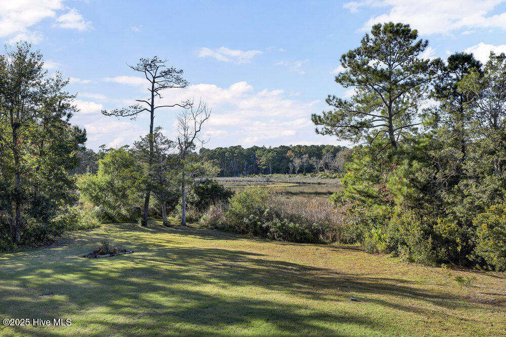 100539309 | Photo 30