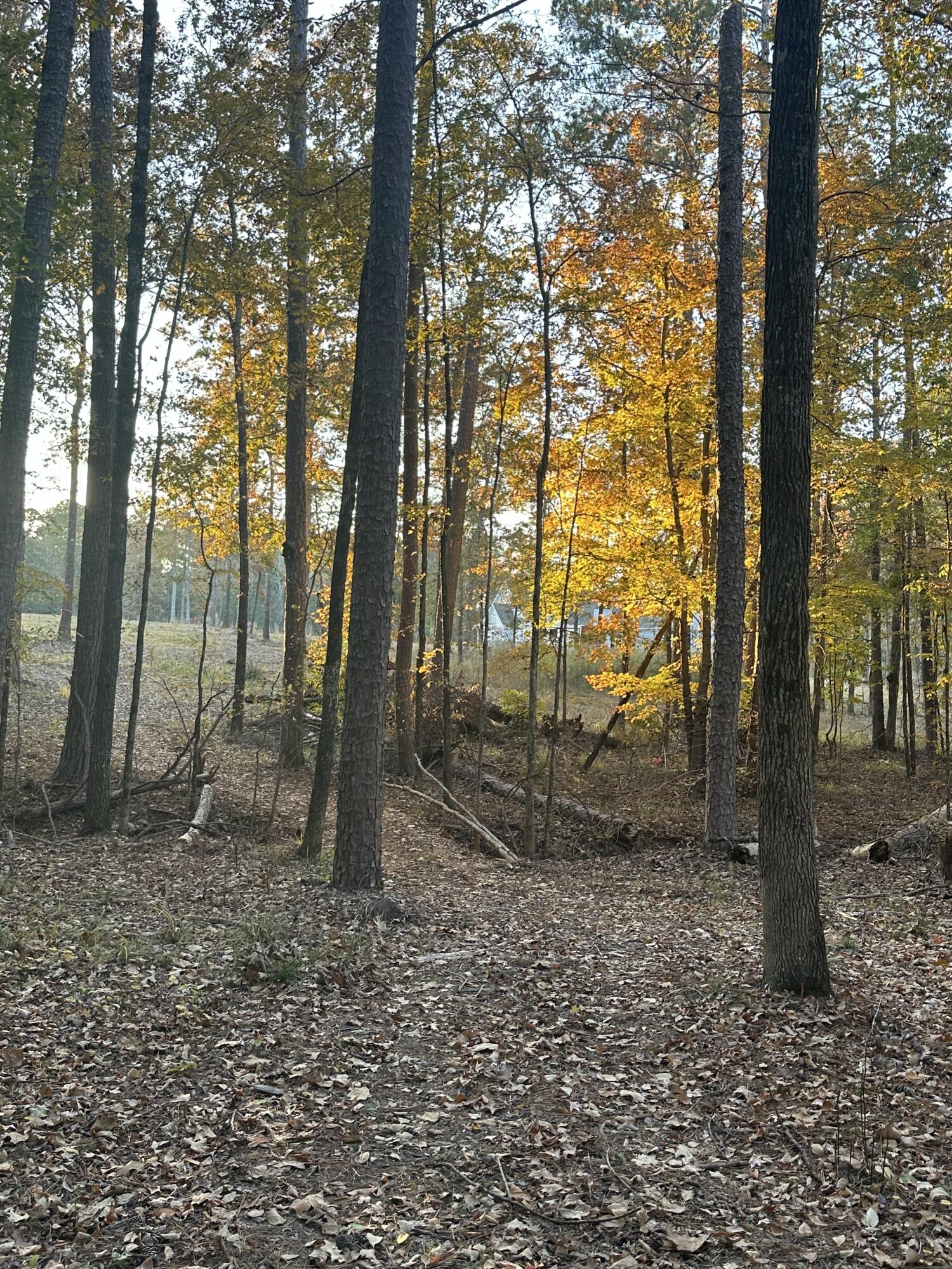 8-3 Long Cove Drive, Lincolnton, GA, 30817