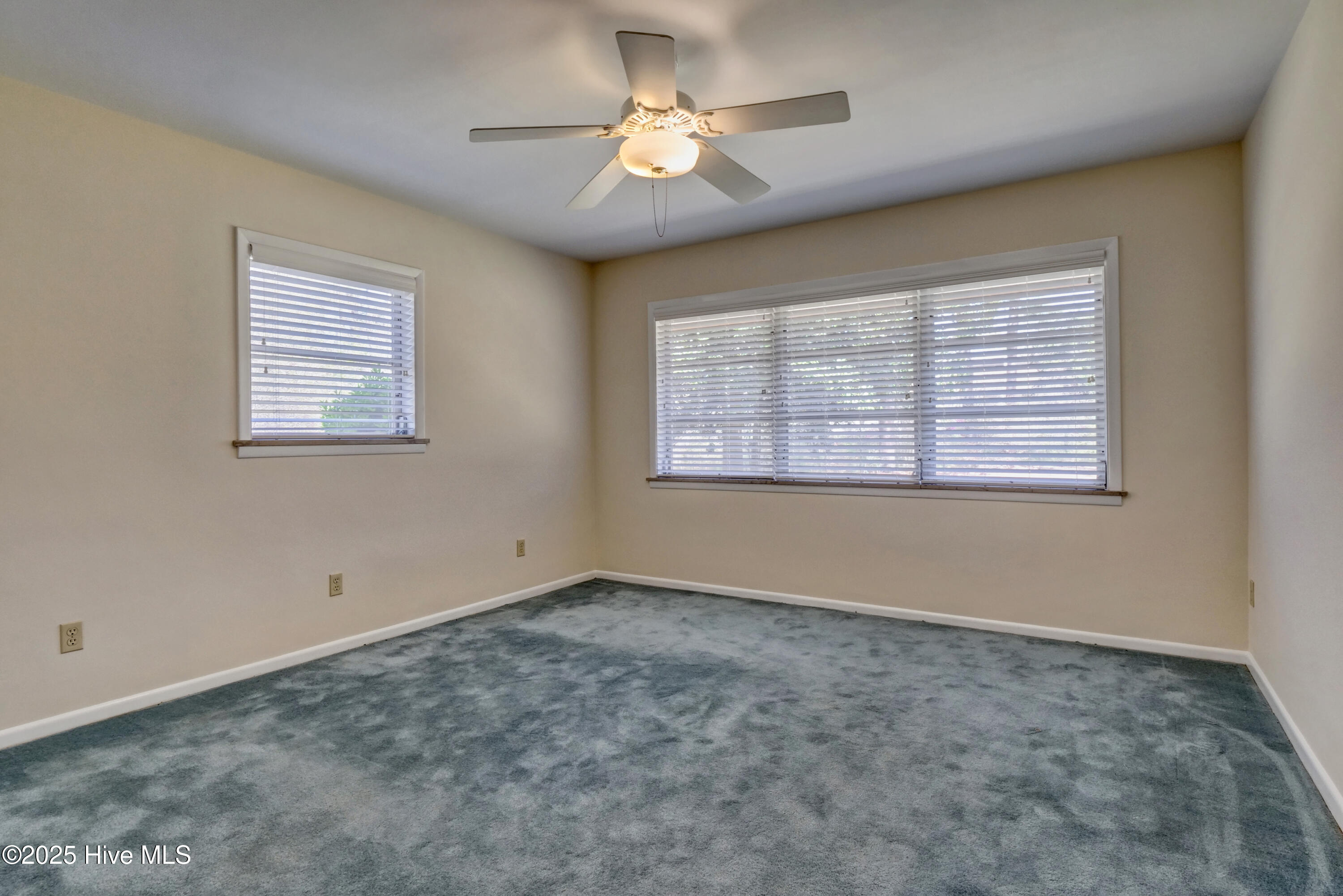 100536317 | Photo 24