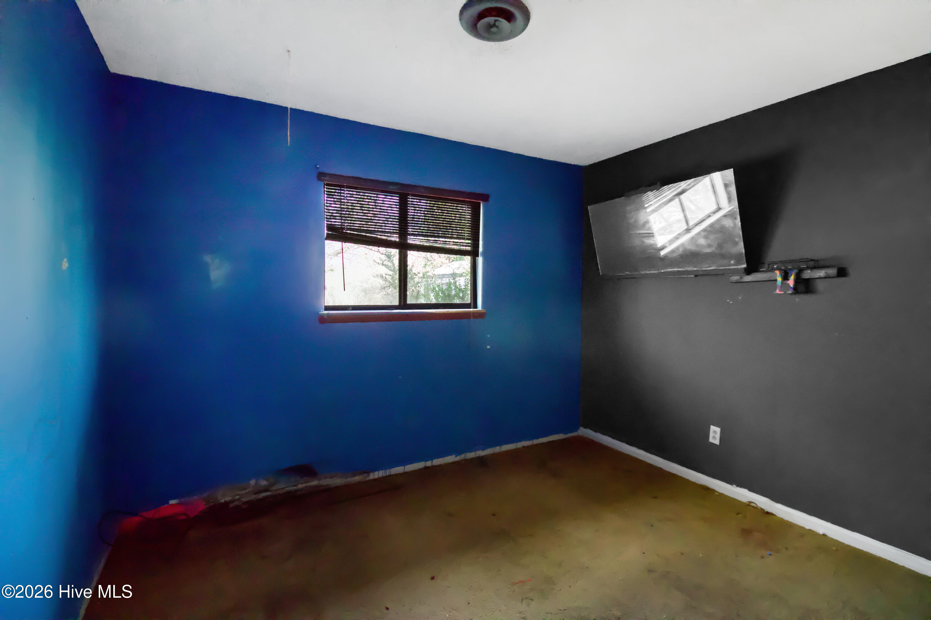 100547286 | Photo 15