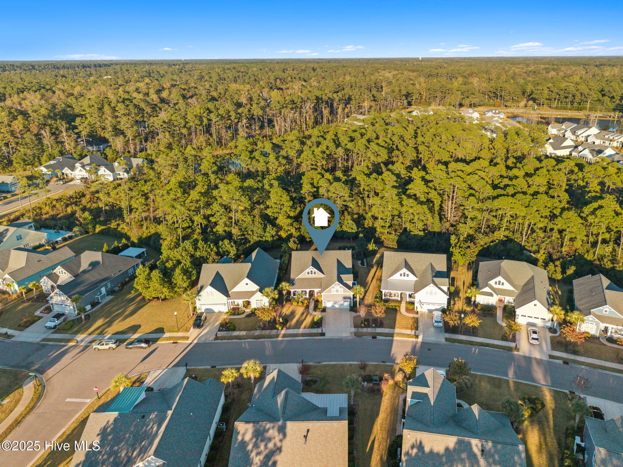 100539203 | Photo 58