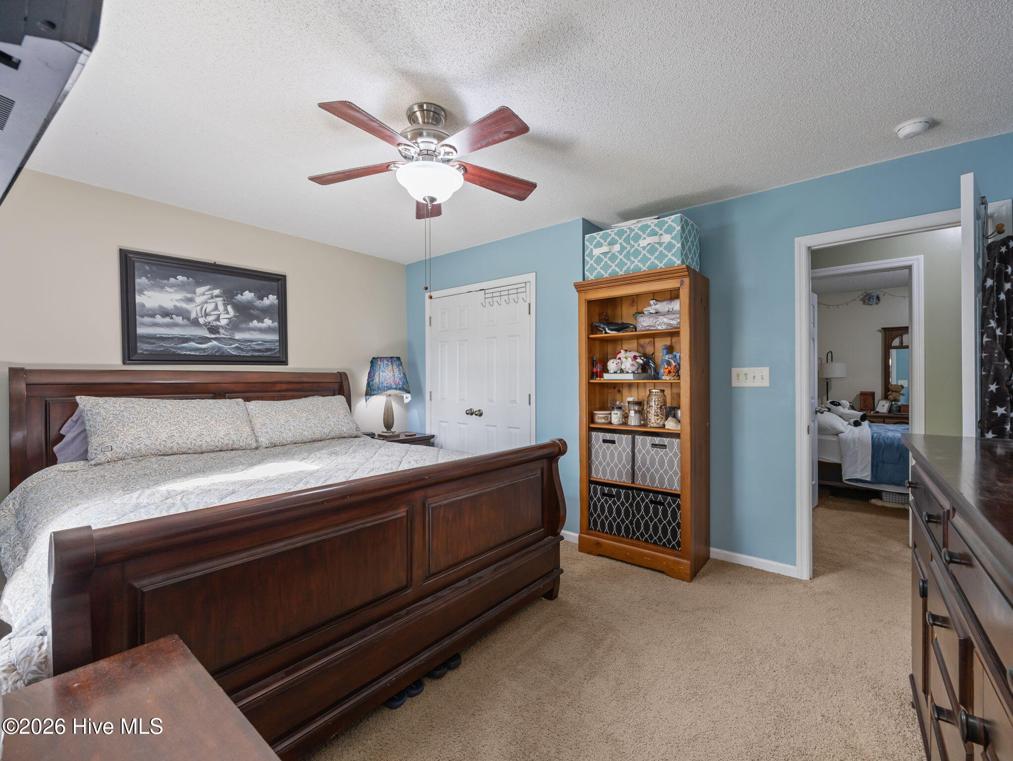 100566784 | Photo 23