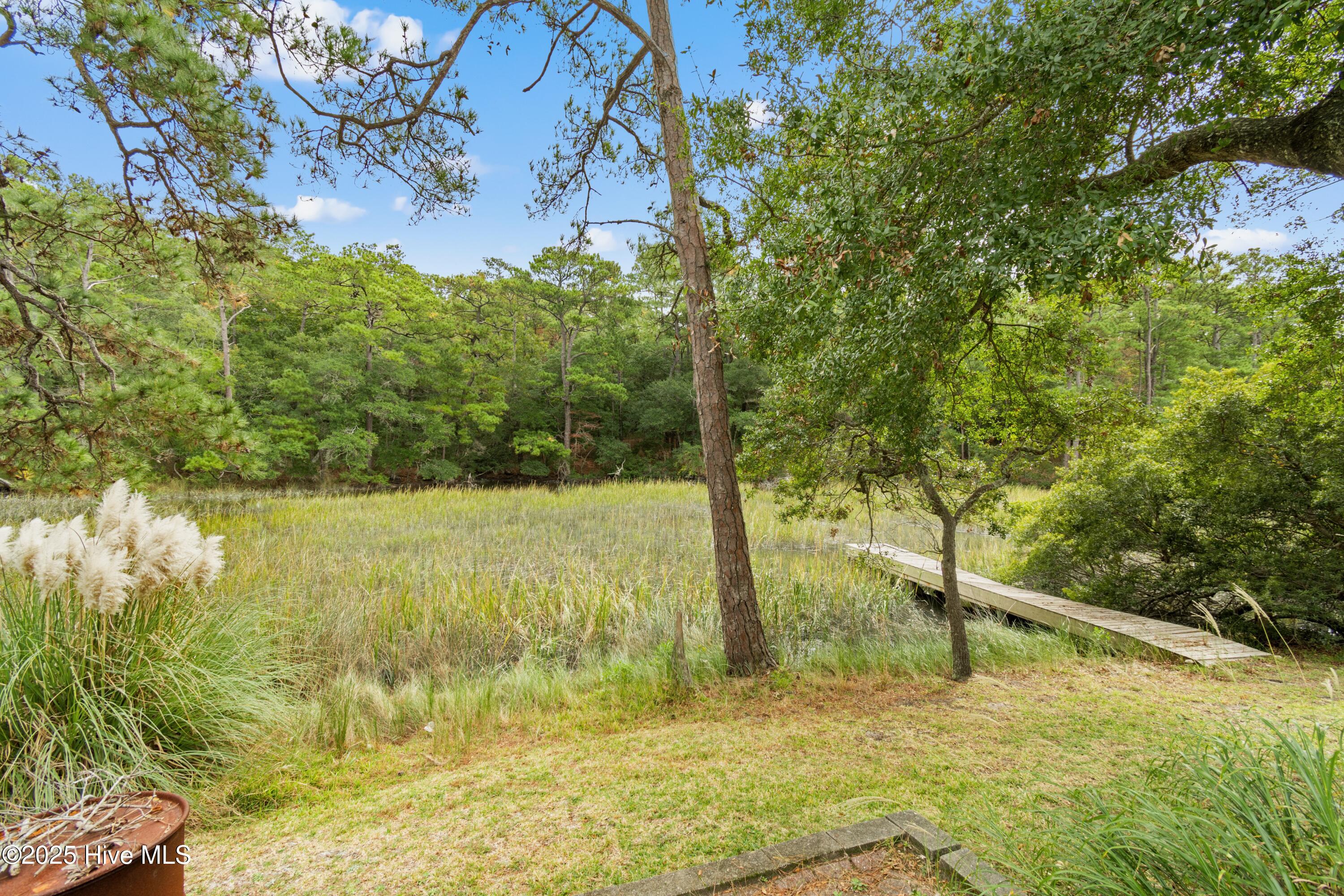 100538927 | Photo 39