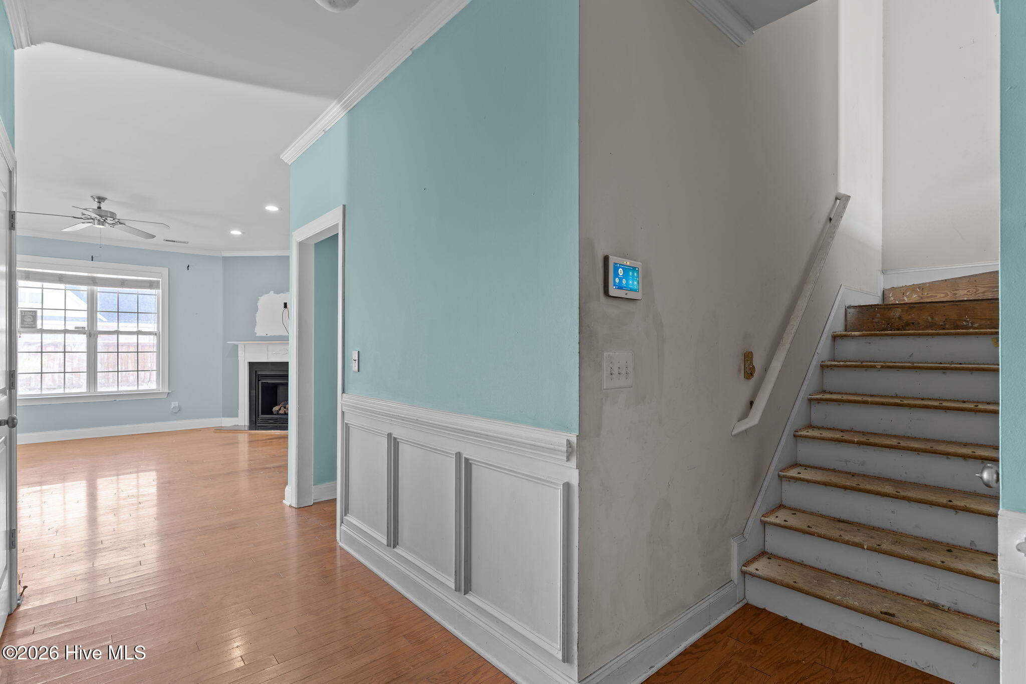 100542717 | Photo 29