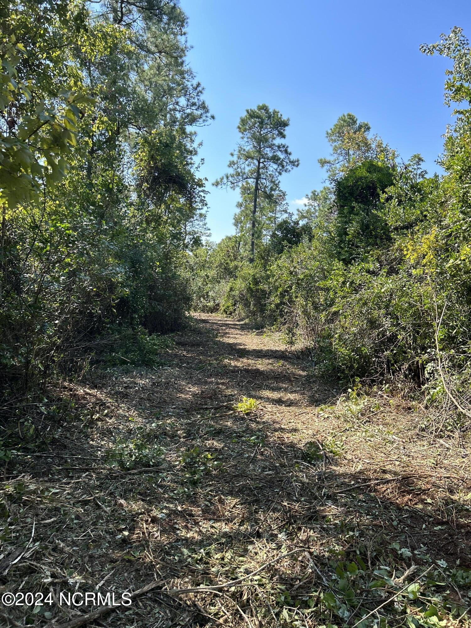 100460239 | Photo 13