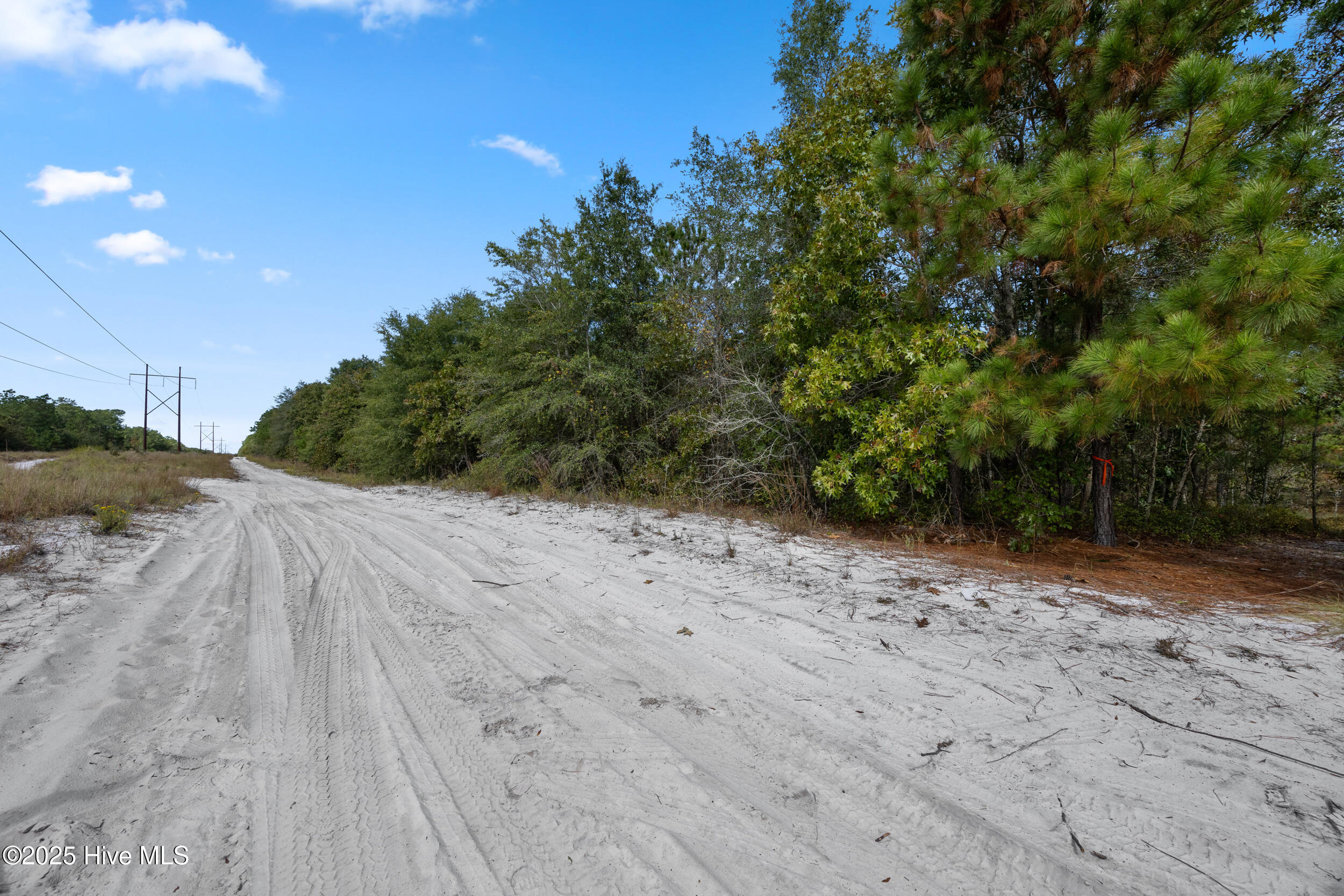 100536371 | Photo 27