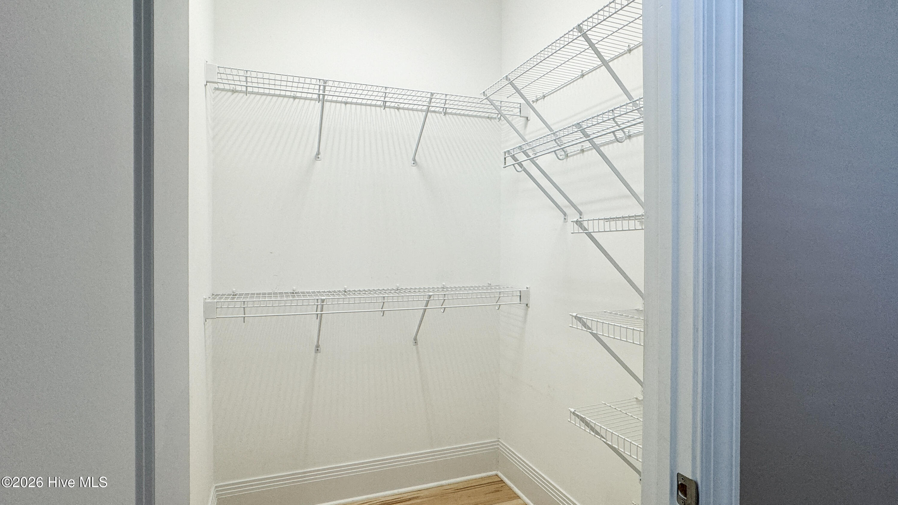 100559977 | Photo 20