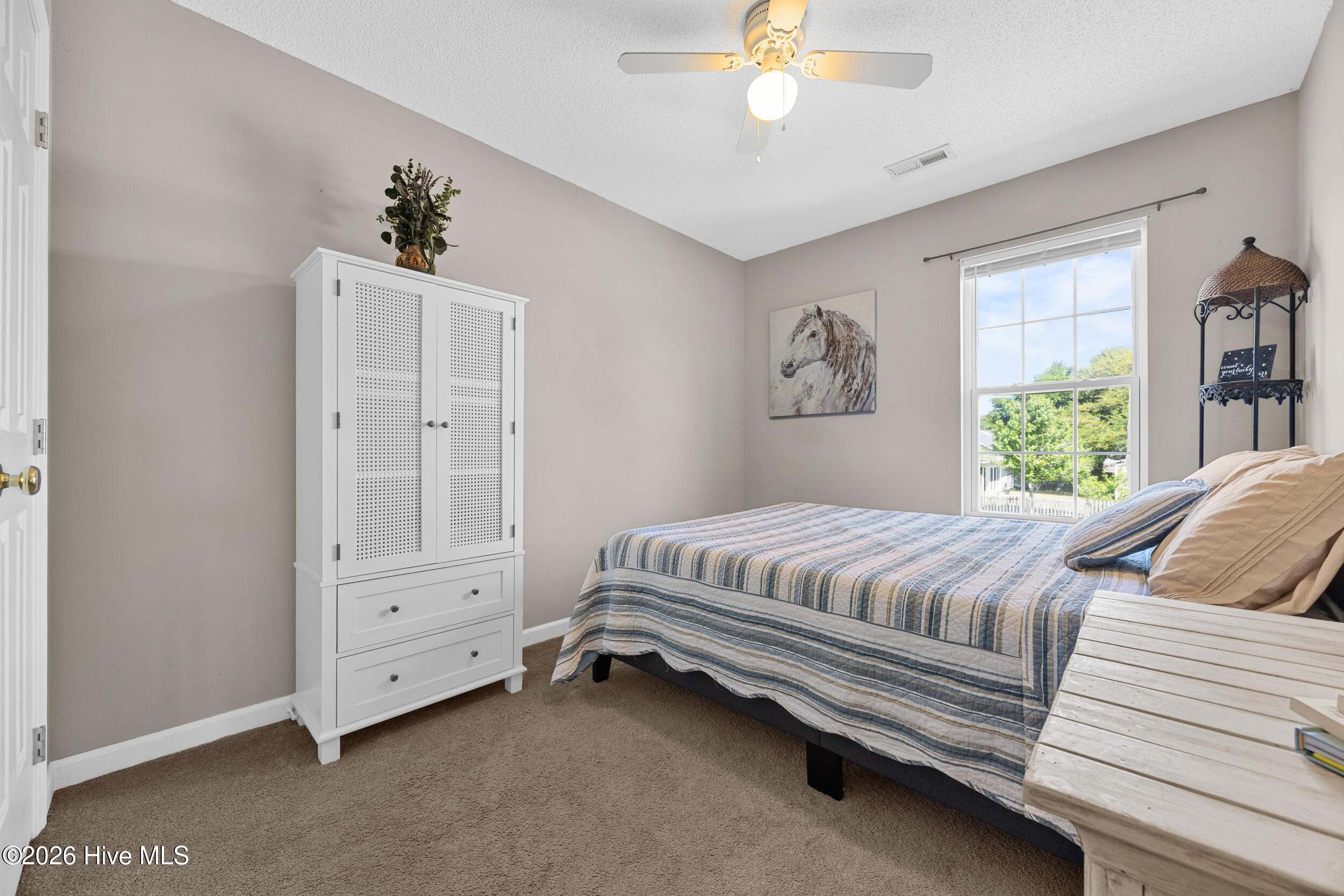 100569282 | Photo 25