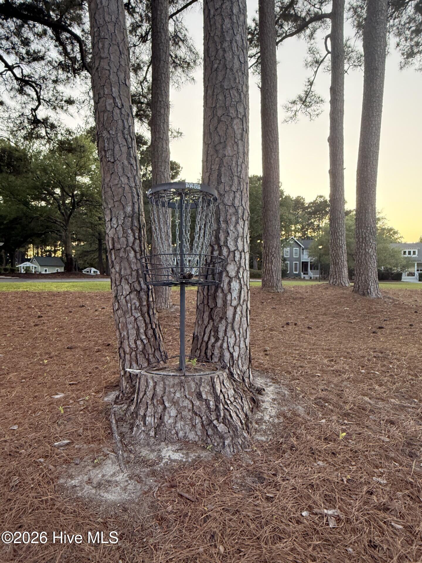 100569921 | Photo 48