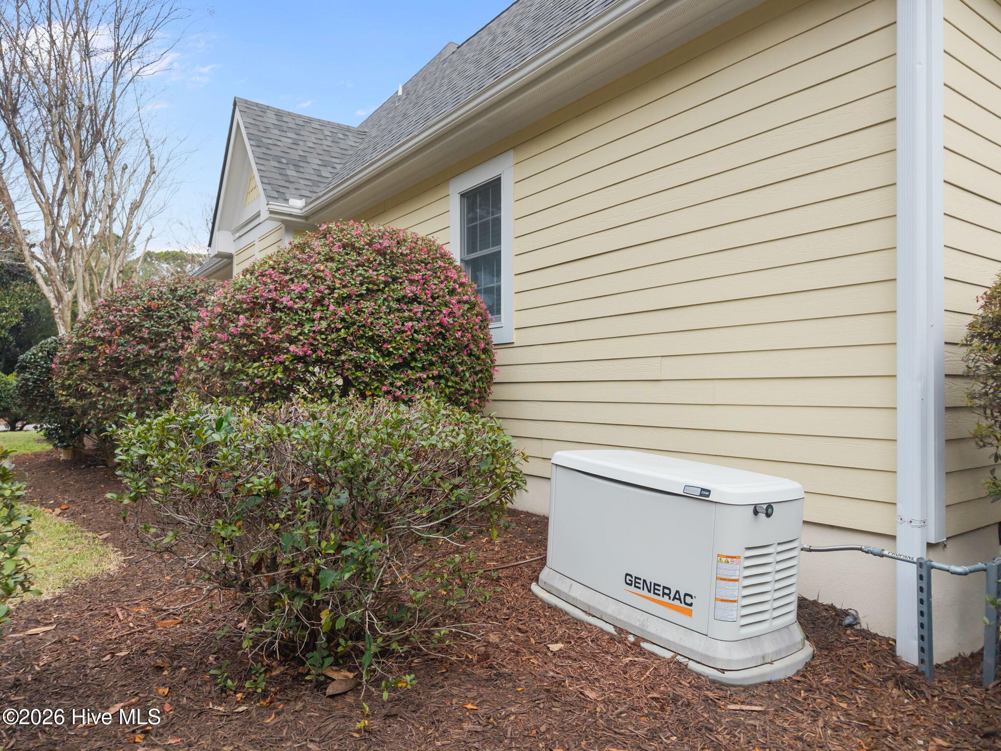 100560775 | Photo 50