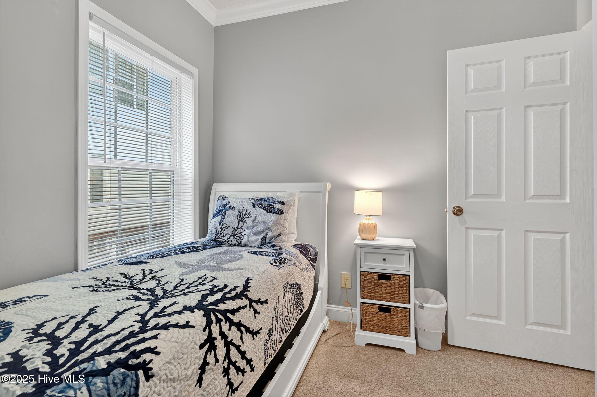 100540046 | Photo 21