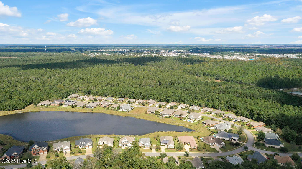 100534763 | Photo 66