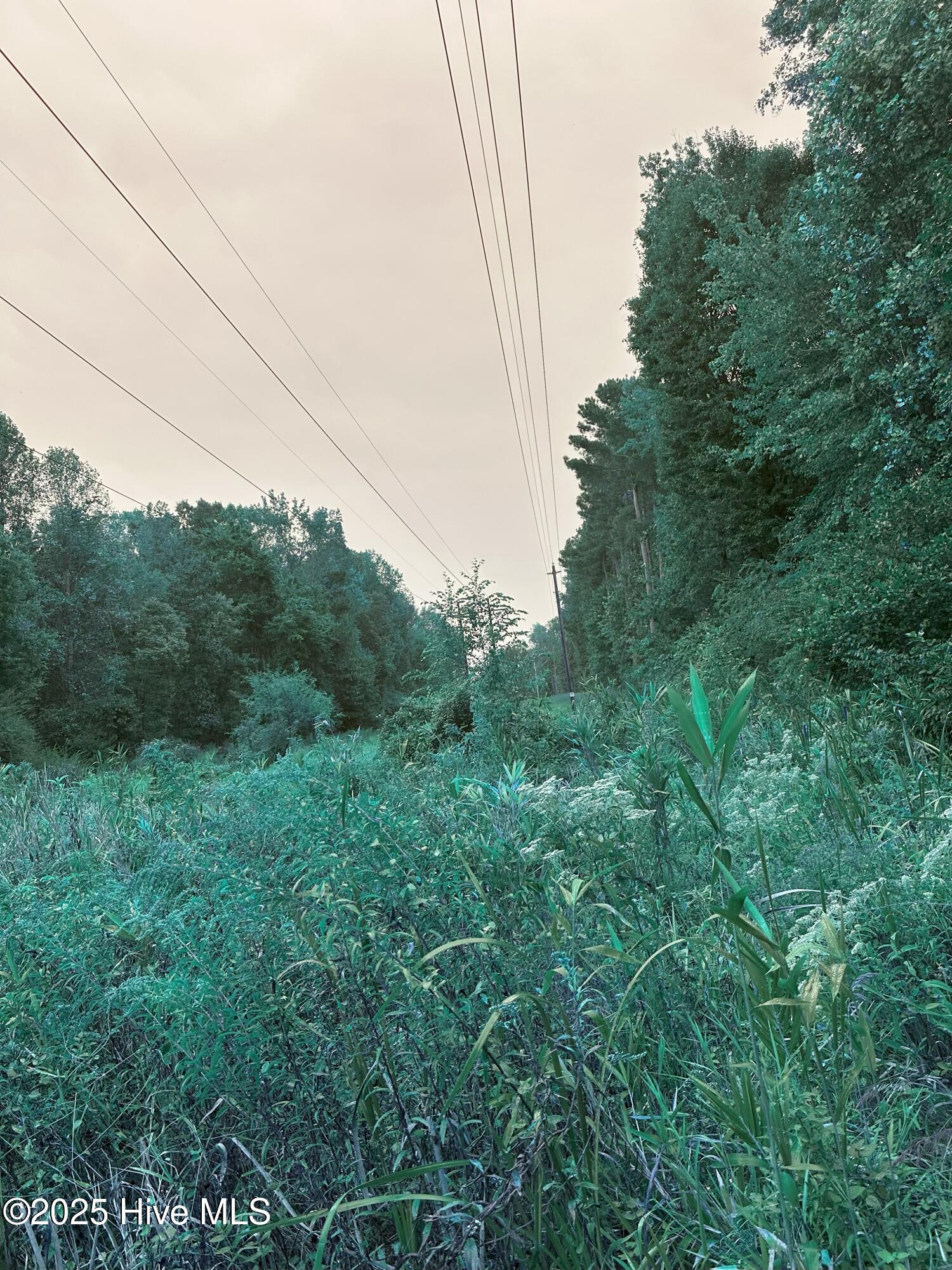 1635 Pecan Drive UNIT Lot 26, Nashville, NC, 27856