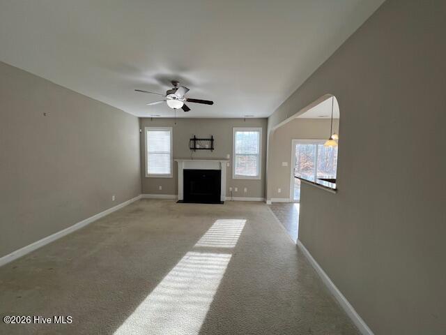 100552837 | Photo 12