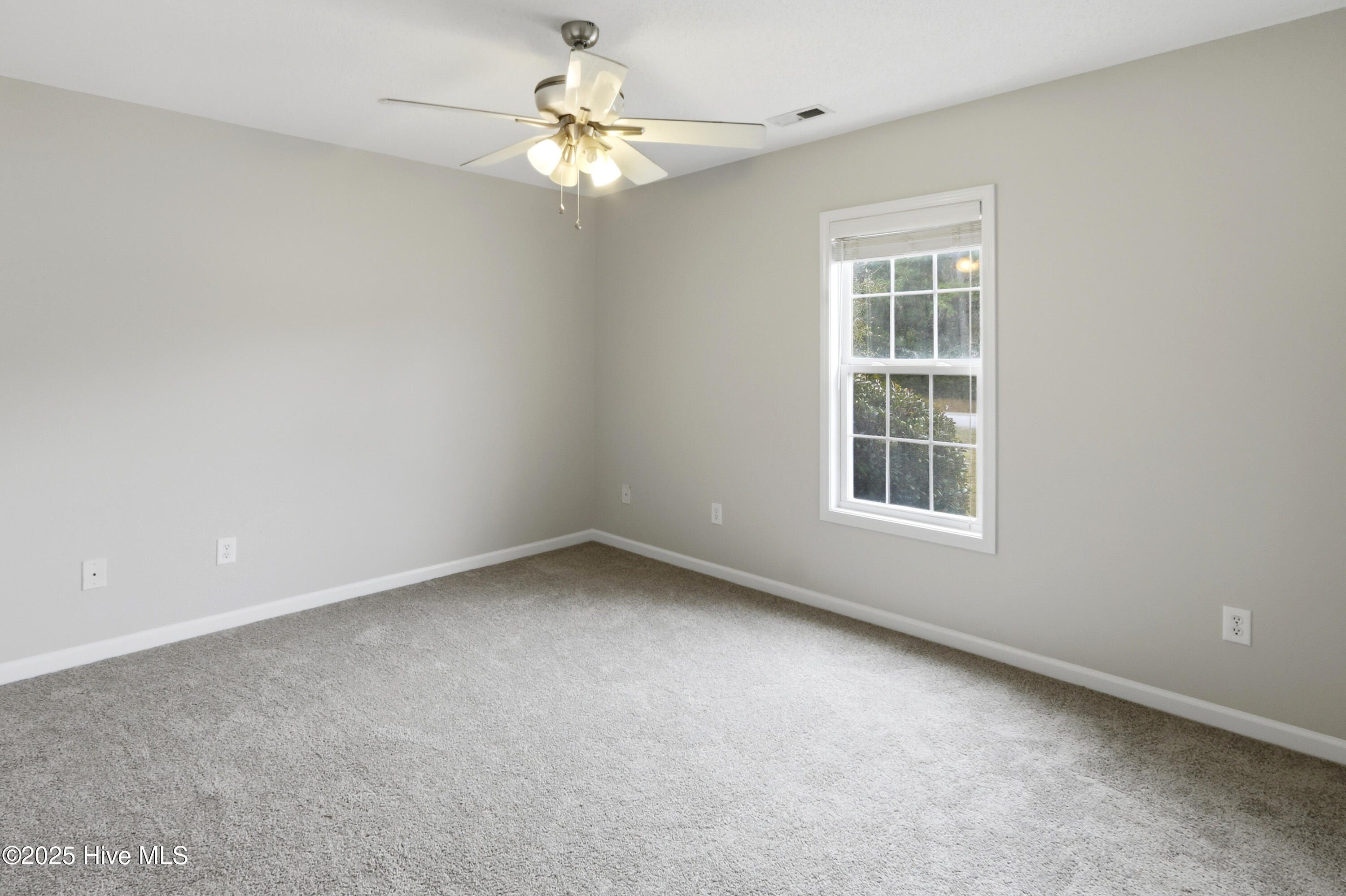 100531186 | Photo 28