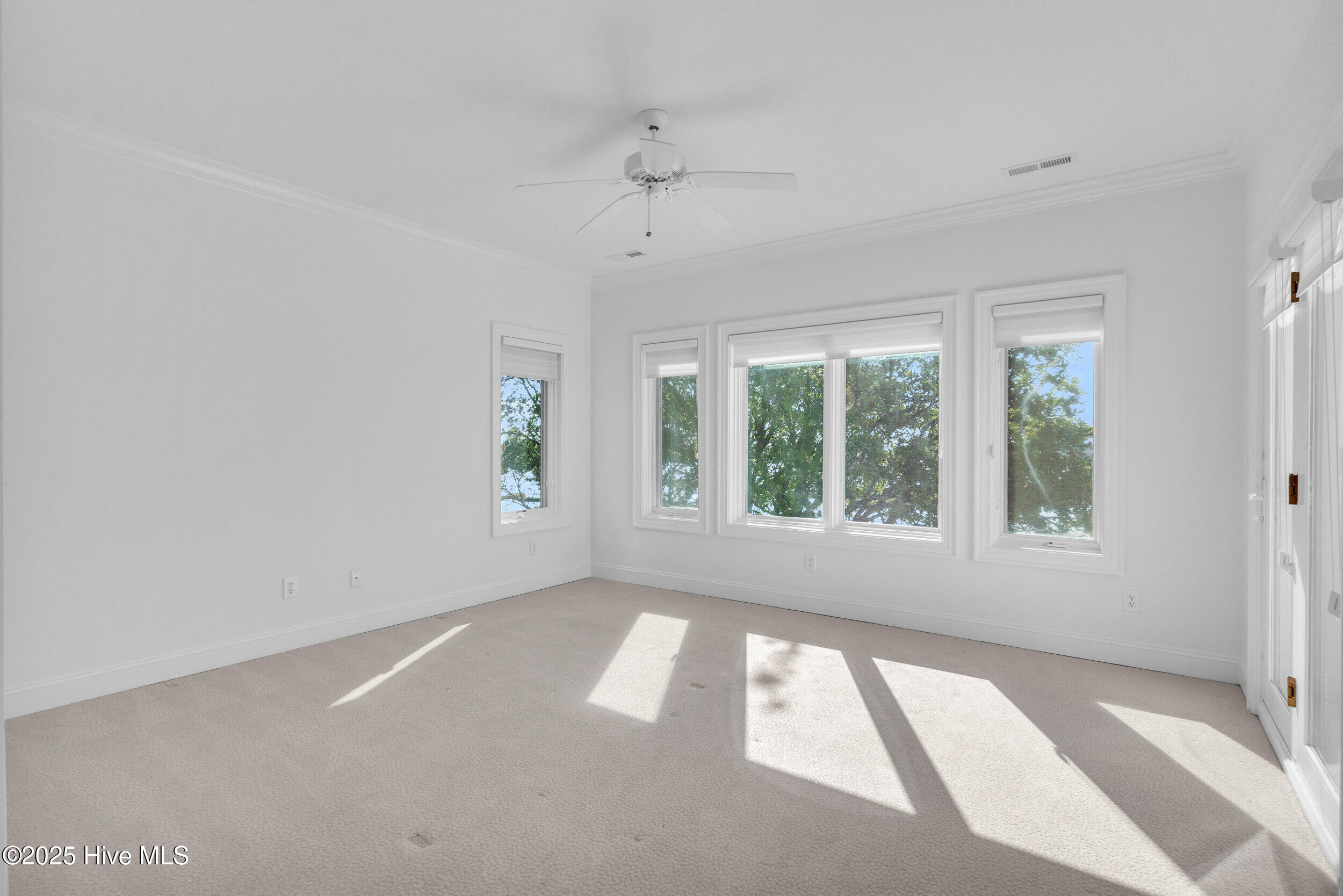 100505592 | Photo 31