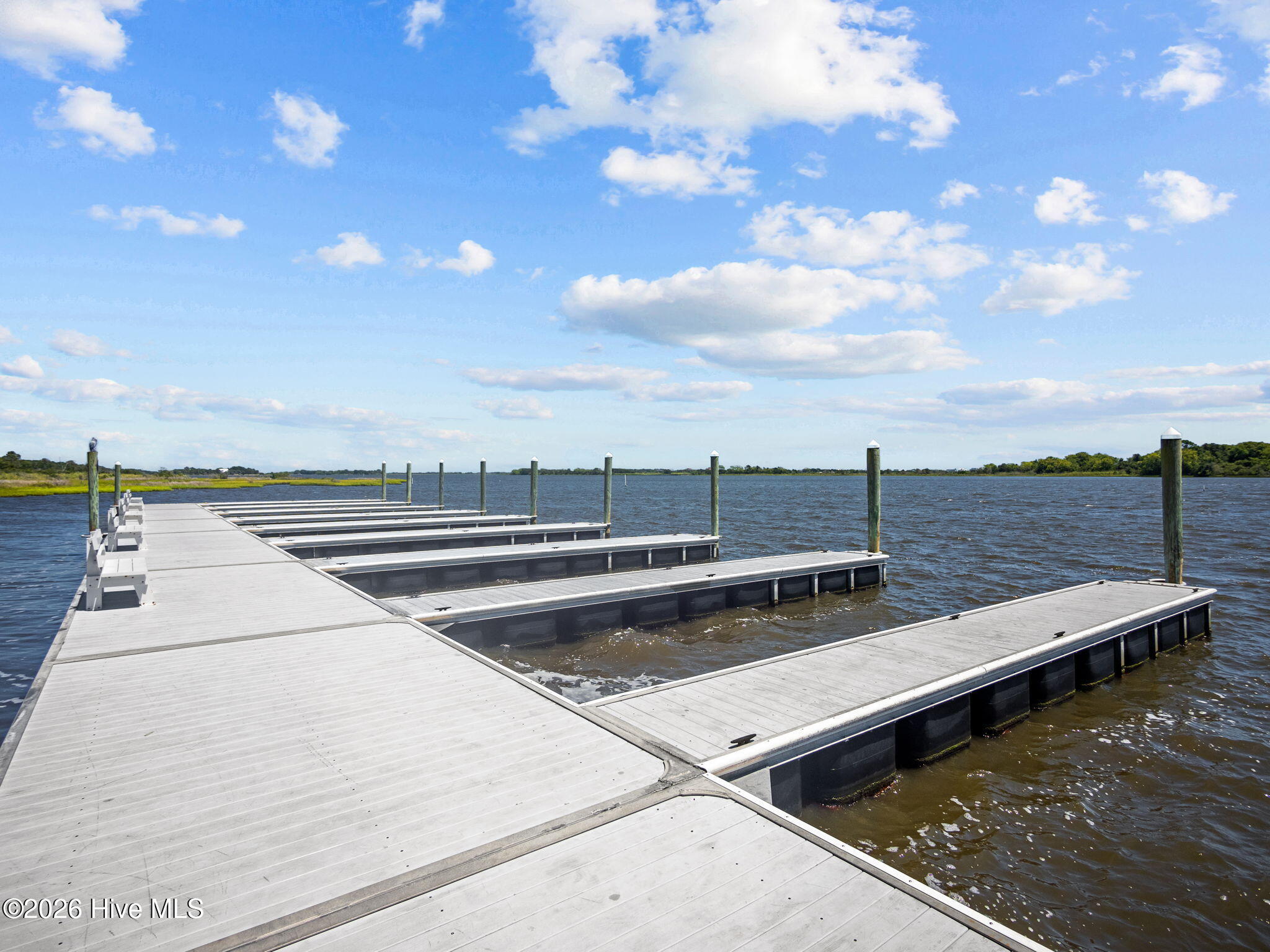 100558529 | Photo 30