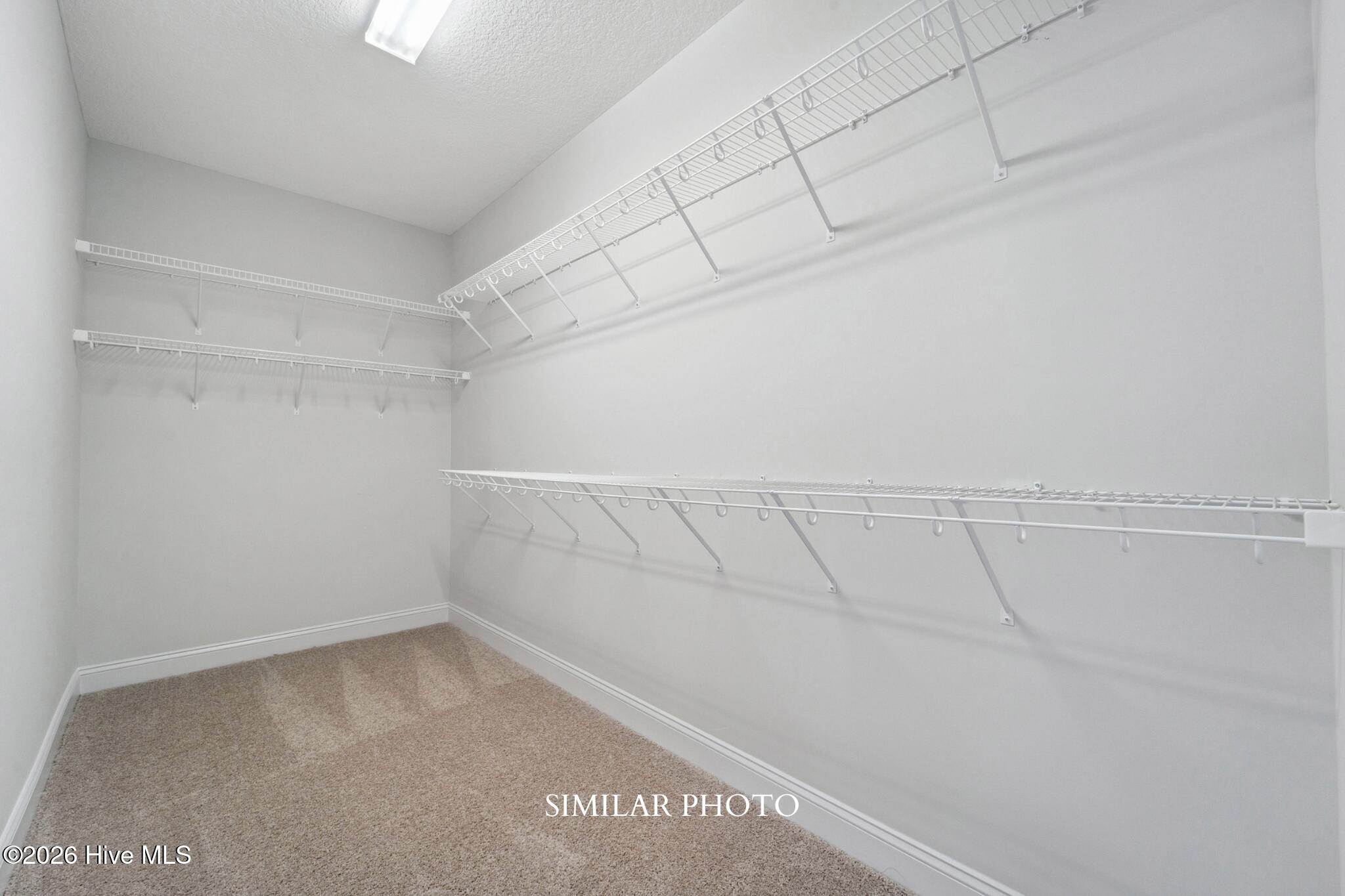 100561573 | Photo 19