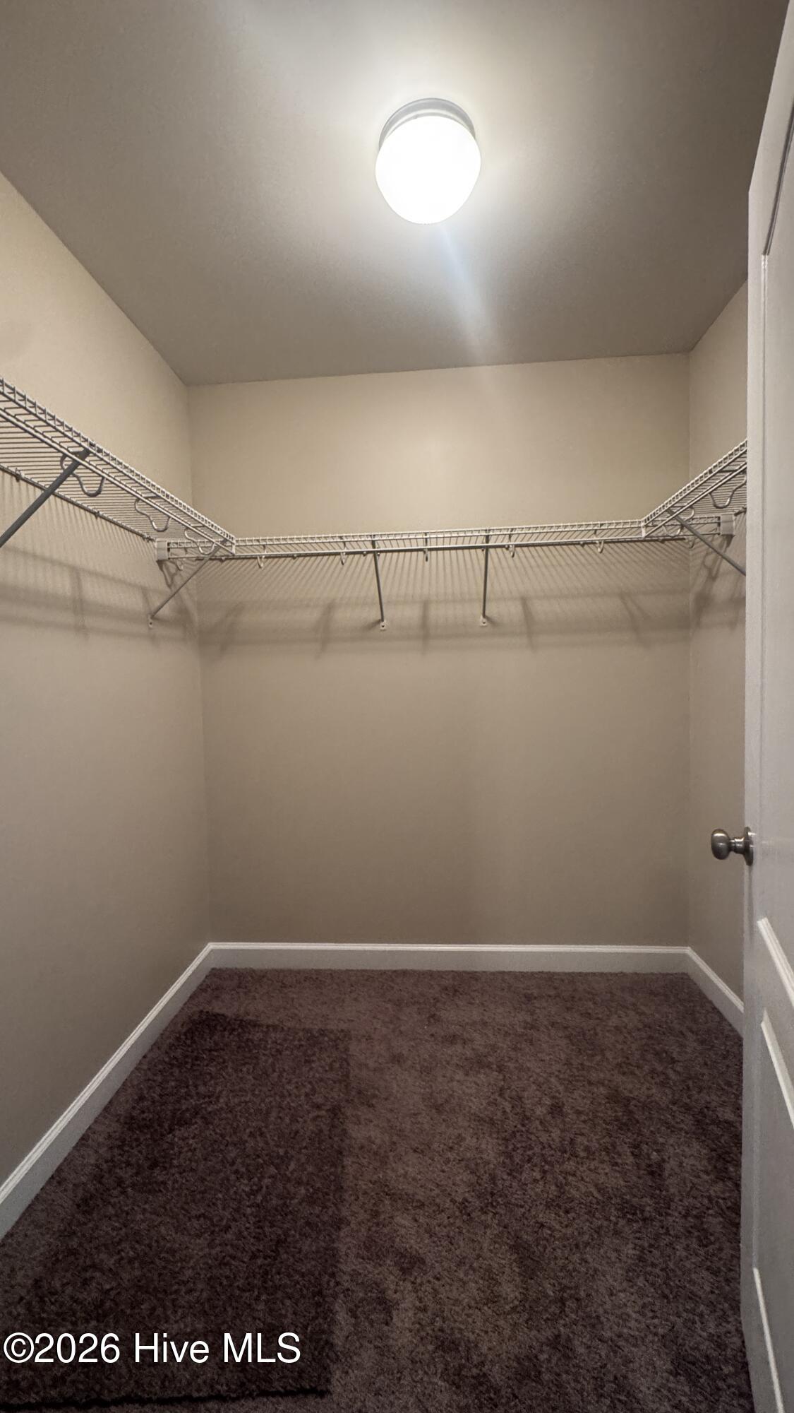 100570363 | Photo 12