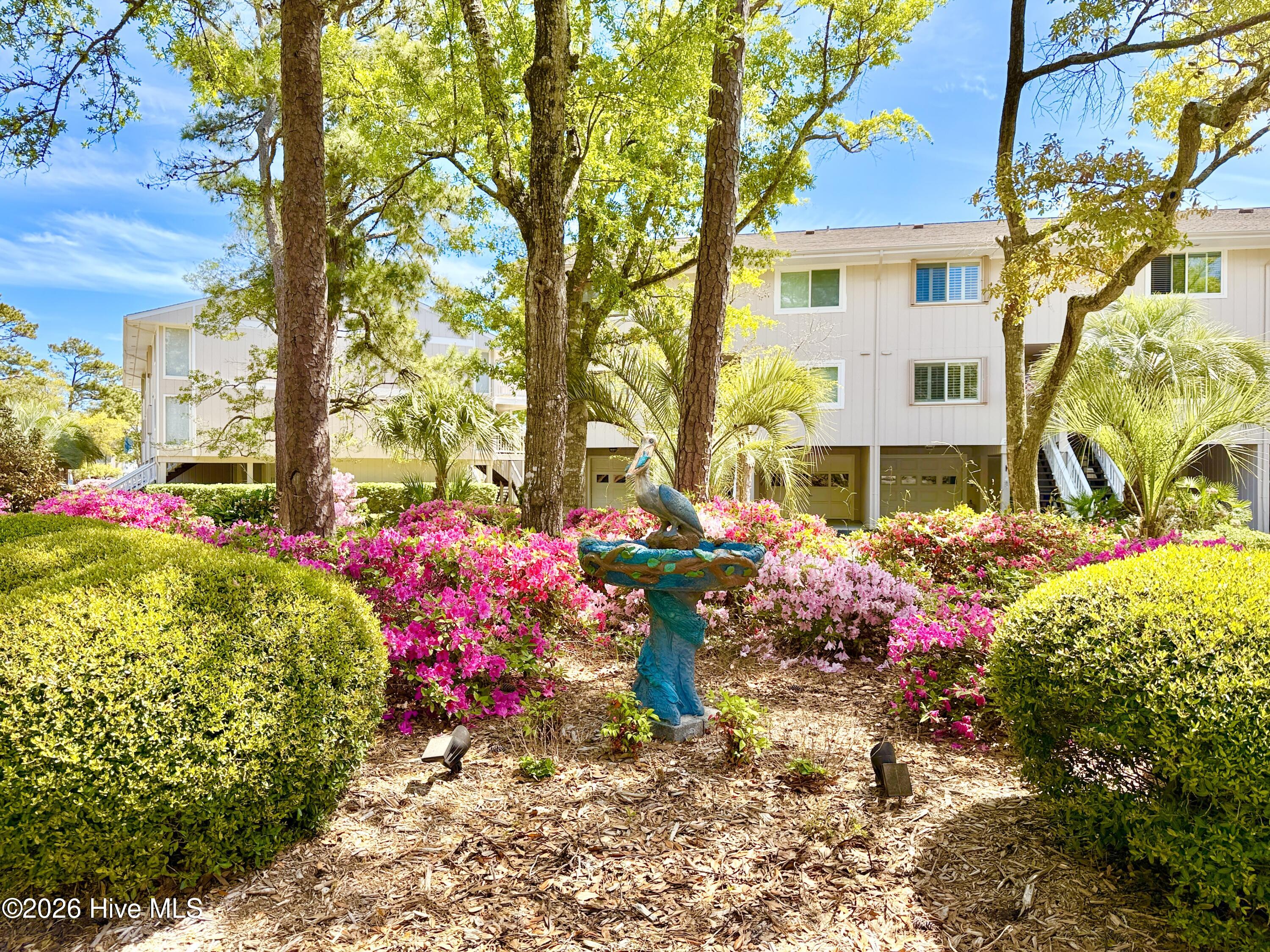 100570413 | Photo 50