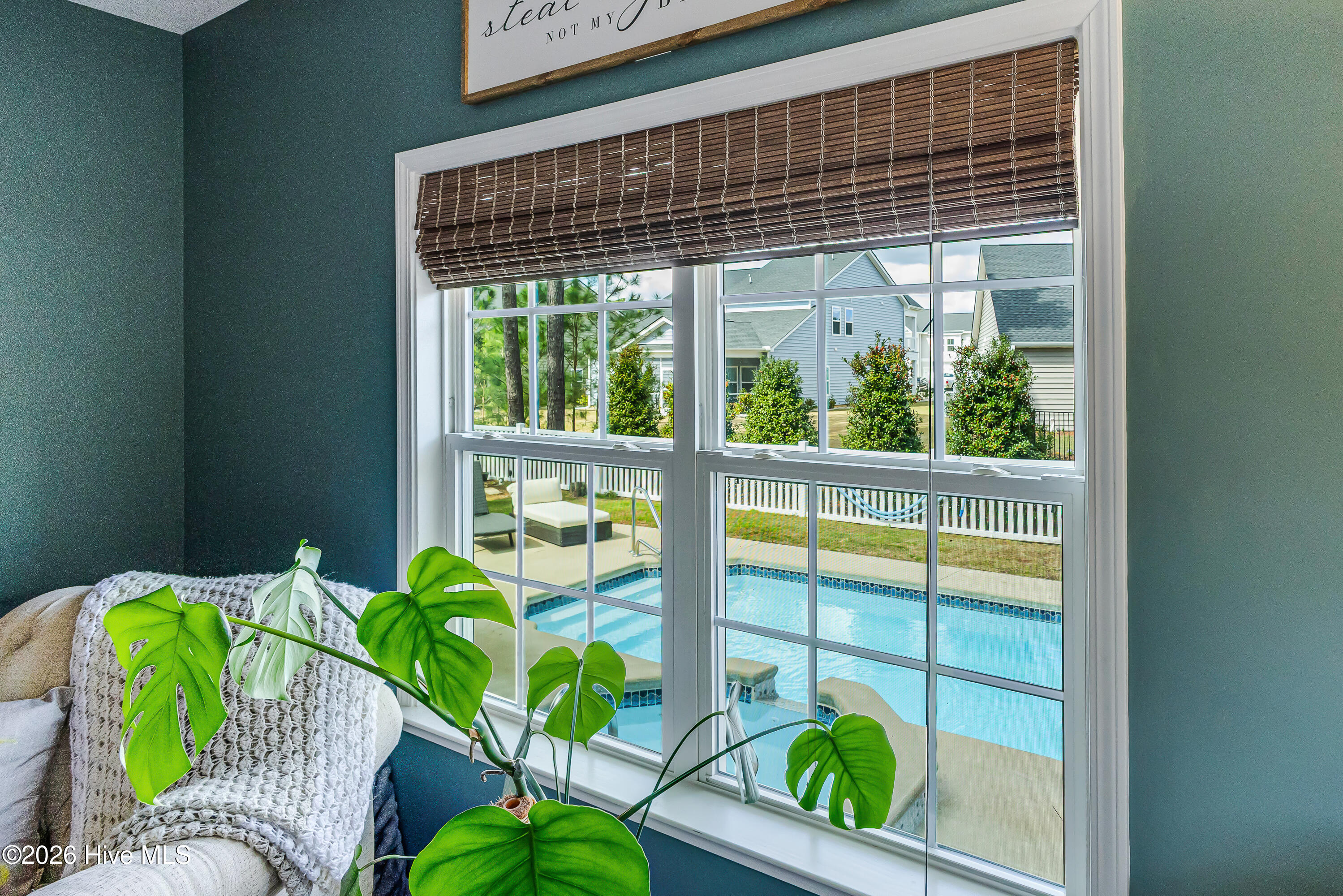 100559447 | Photo 24