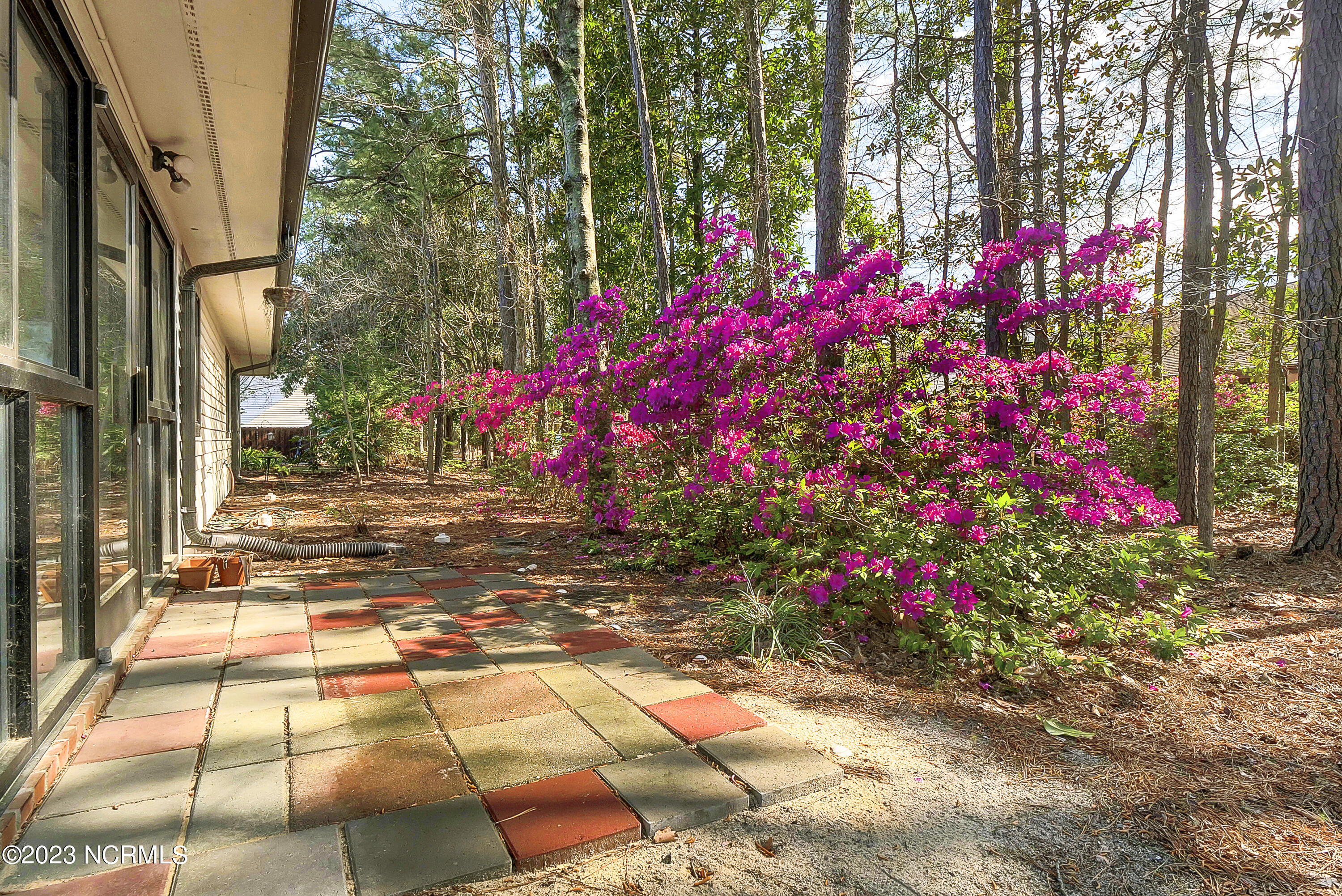 100560221 | Photo 25