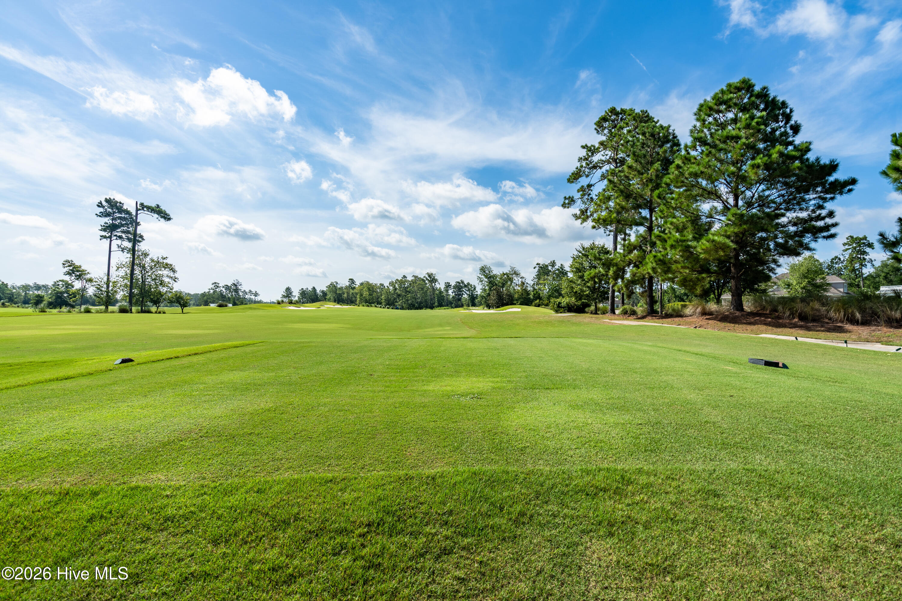 100553461 | Photo 52