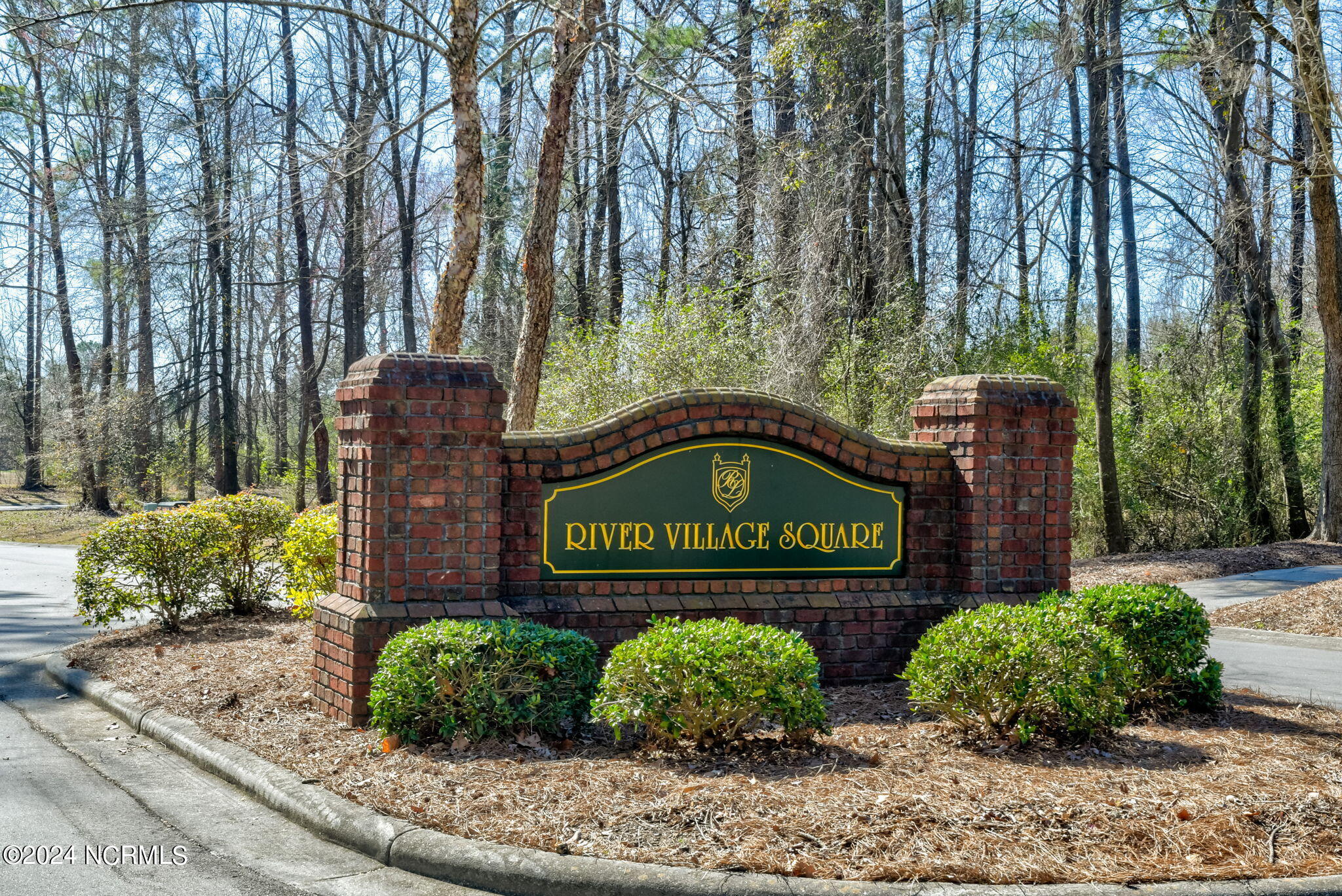110 Firethorn Circle, Wallace, NC 28466 – photo 22: River Village Square