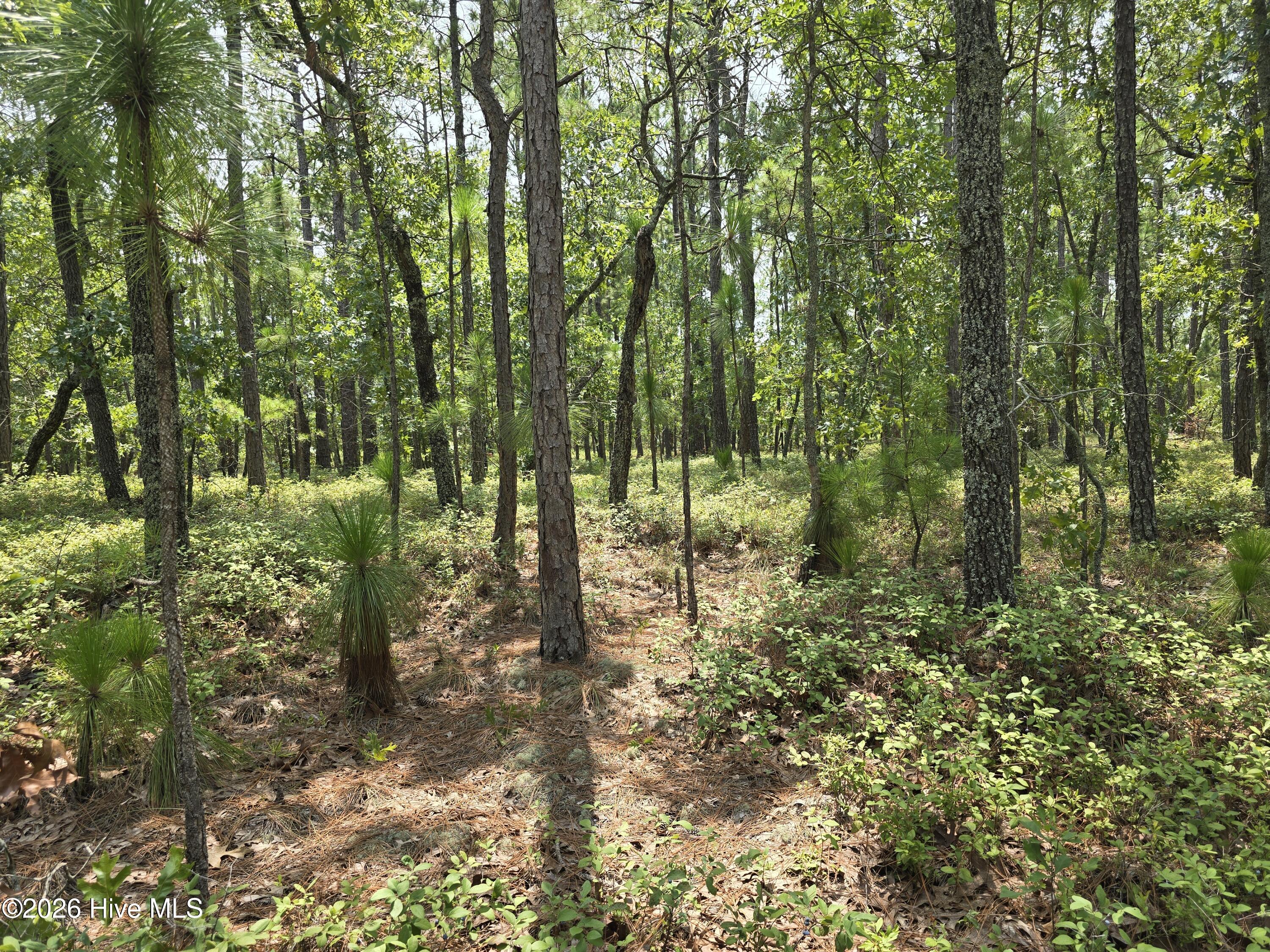 Lot 10 10 Woola Woola Lane,Grantsboro