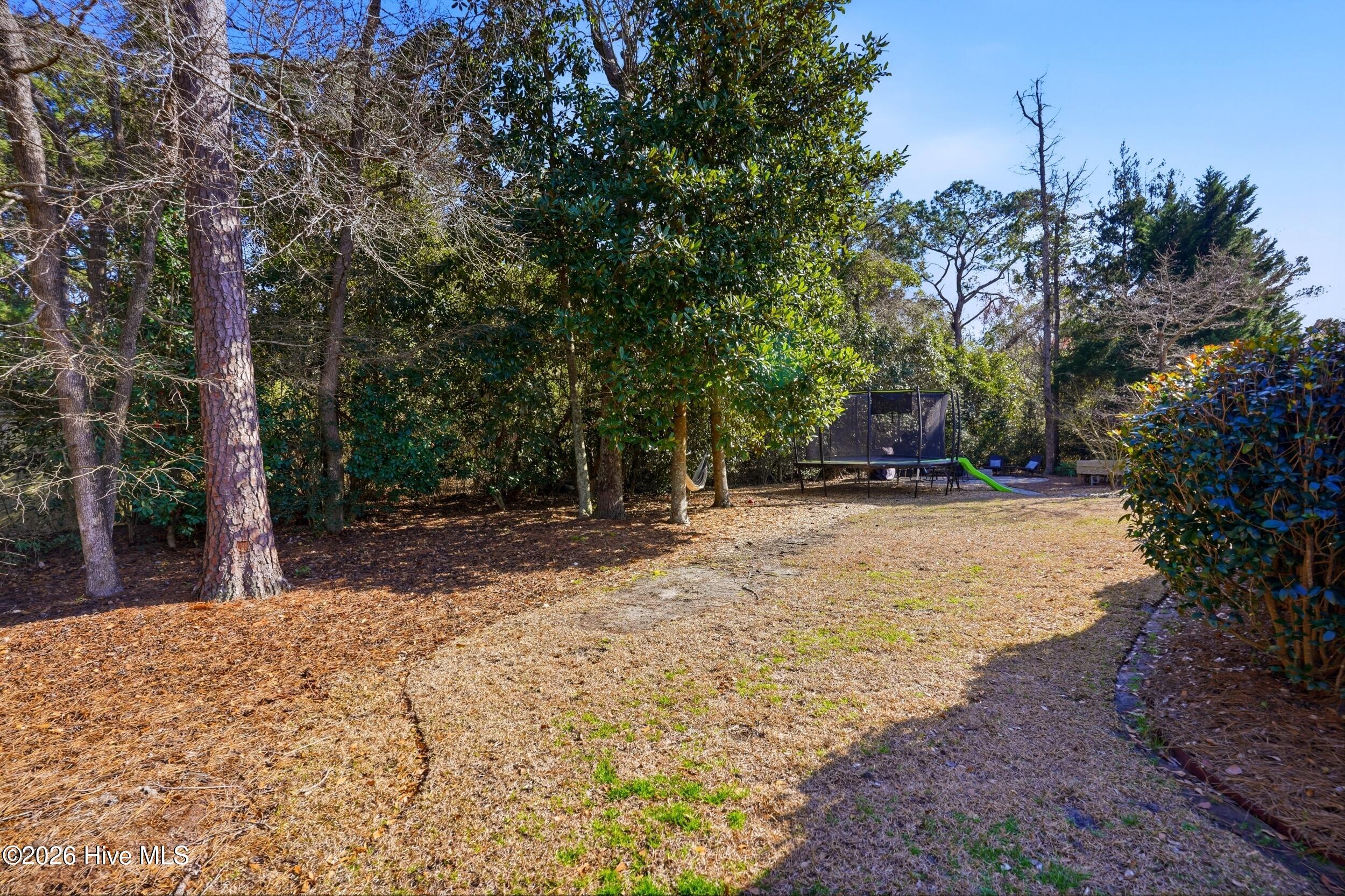 100560631 | Photo 37