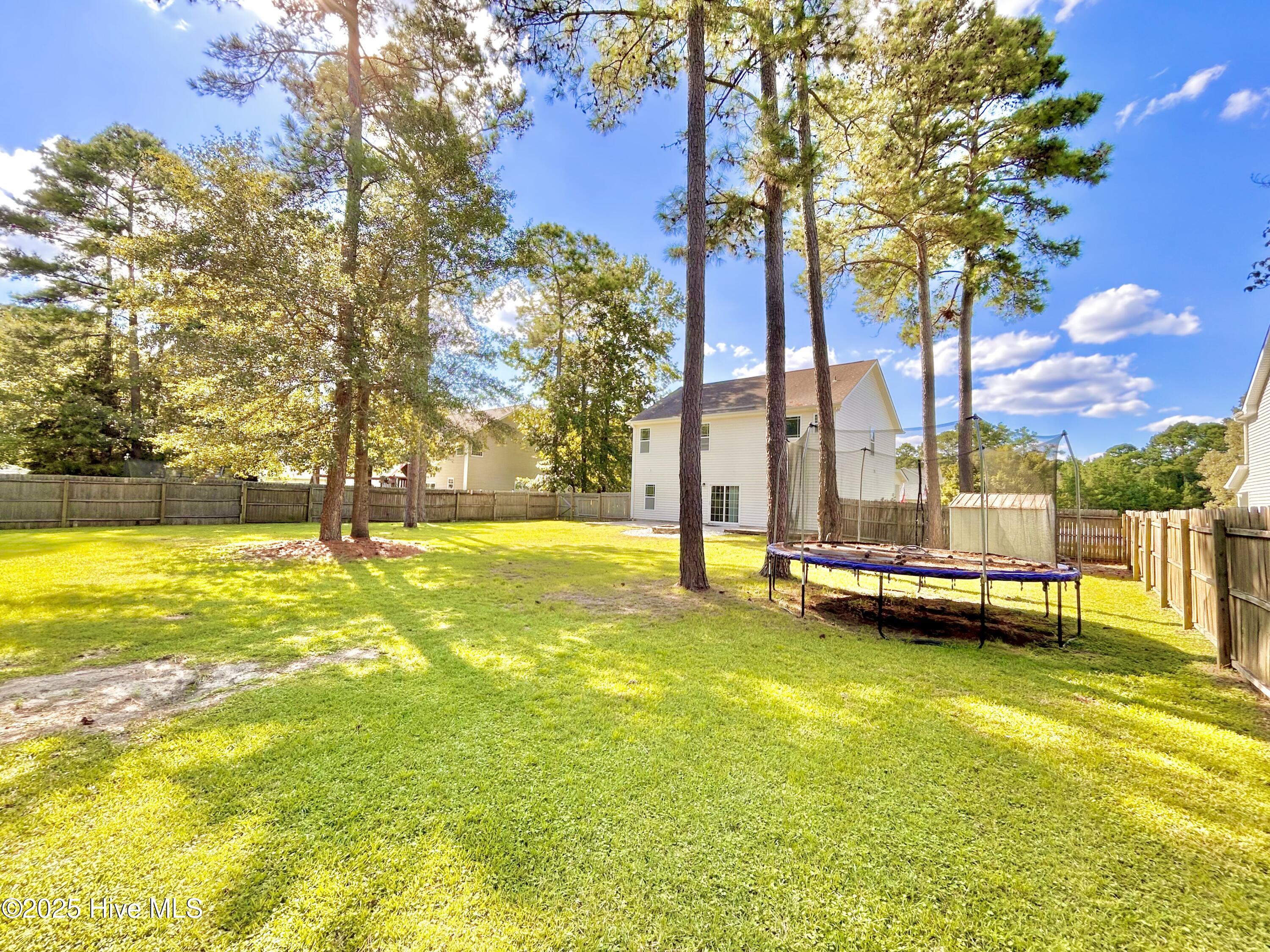 133 Saint Road, Richlands, NC 28574 – photo 7: Backyard