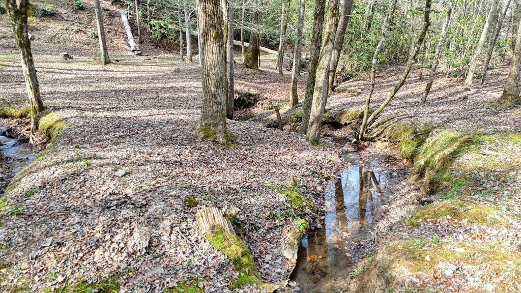 520 Farmer Drive, Murphy, NC 28906 Listing Photo  126