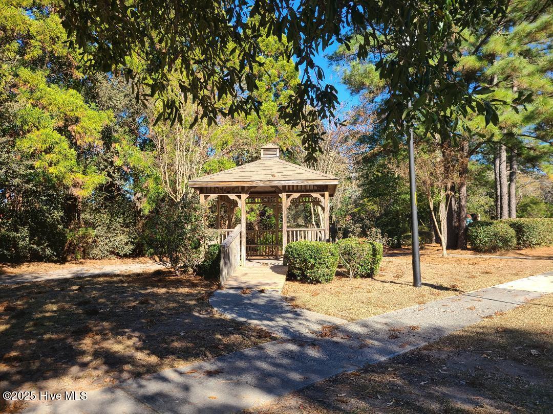 100545886 | Photo 40