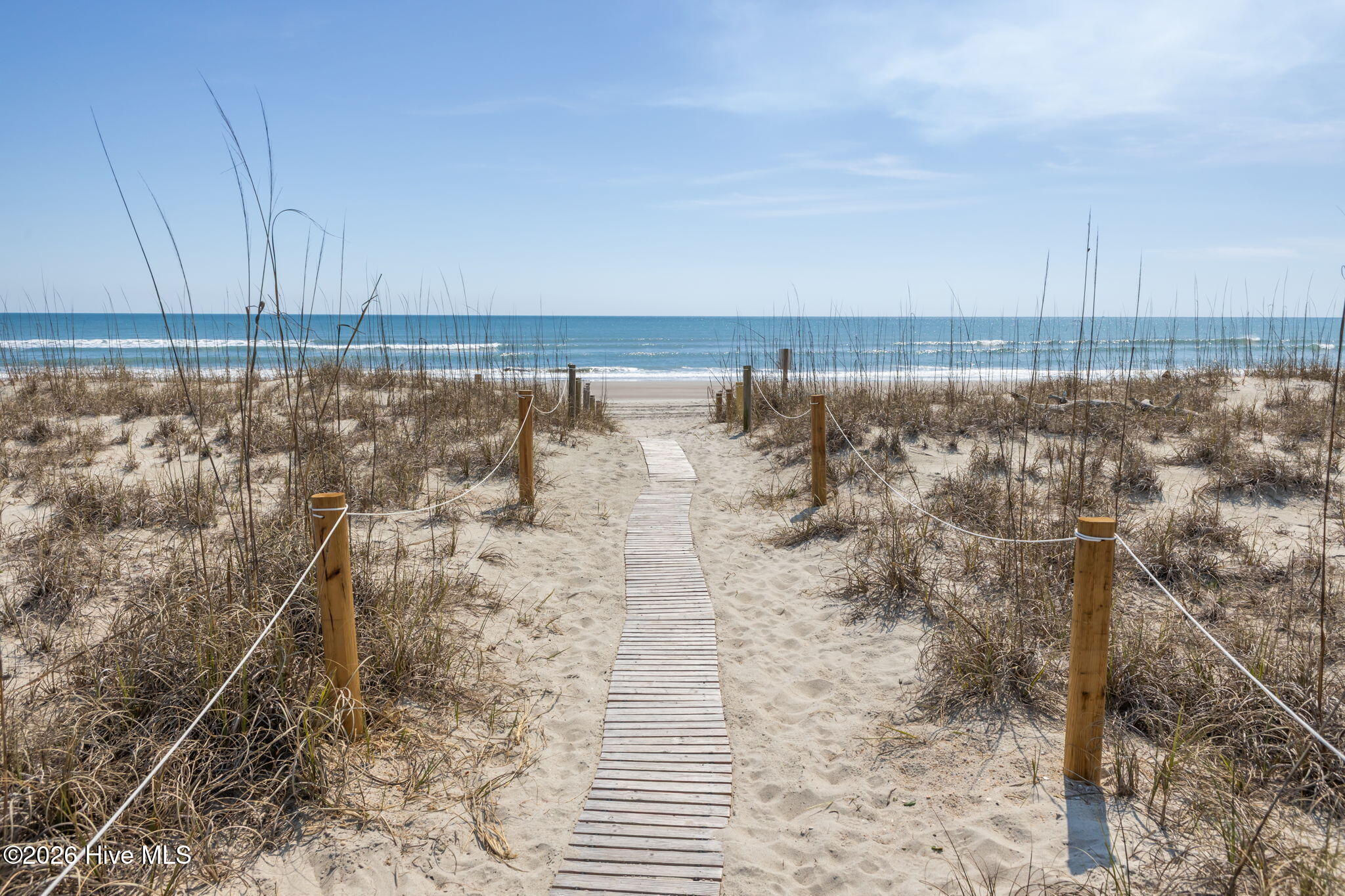 100516051 | Photo 42