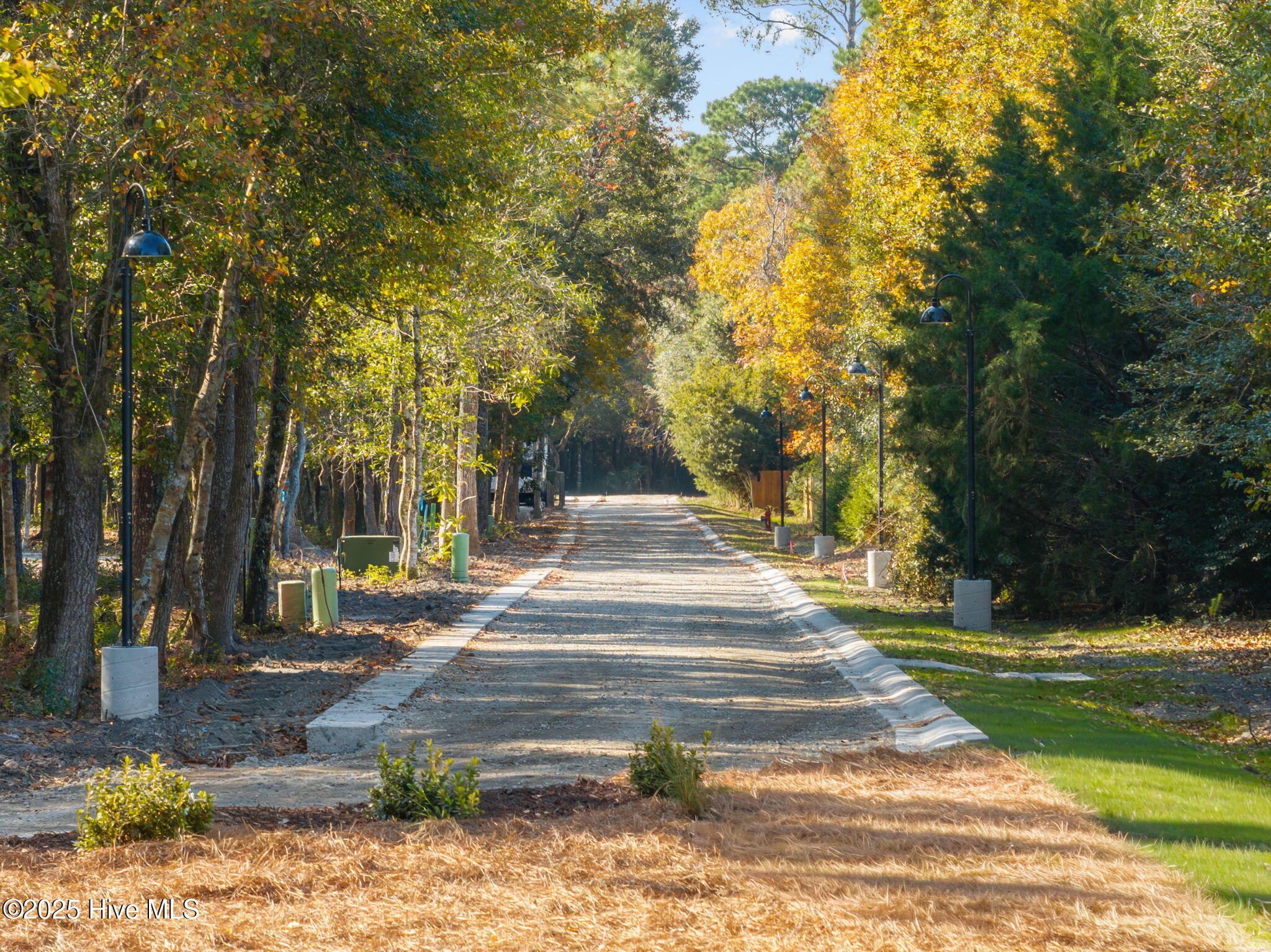 100546314 | Photo 11