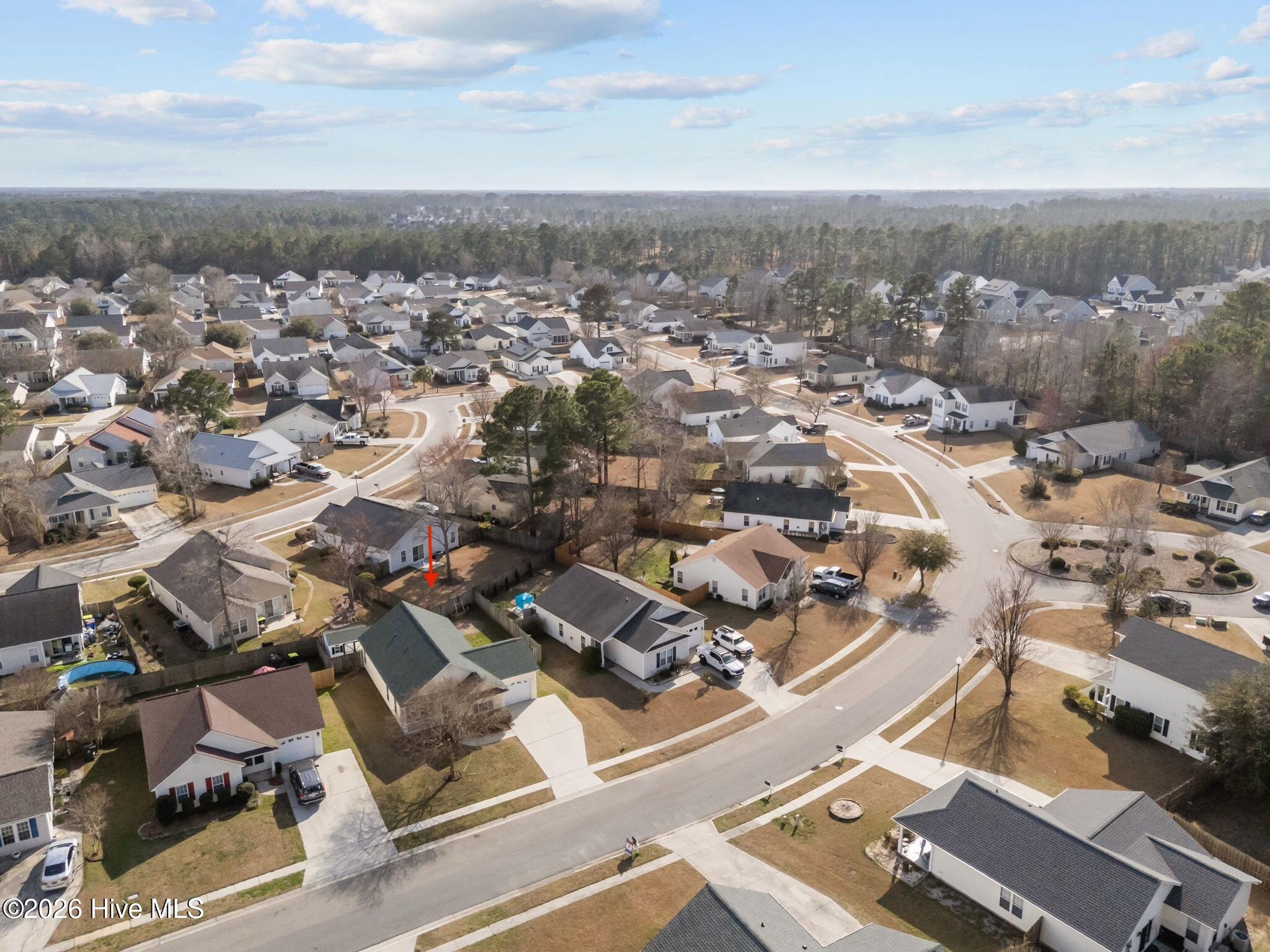 100557931 | Photo 29