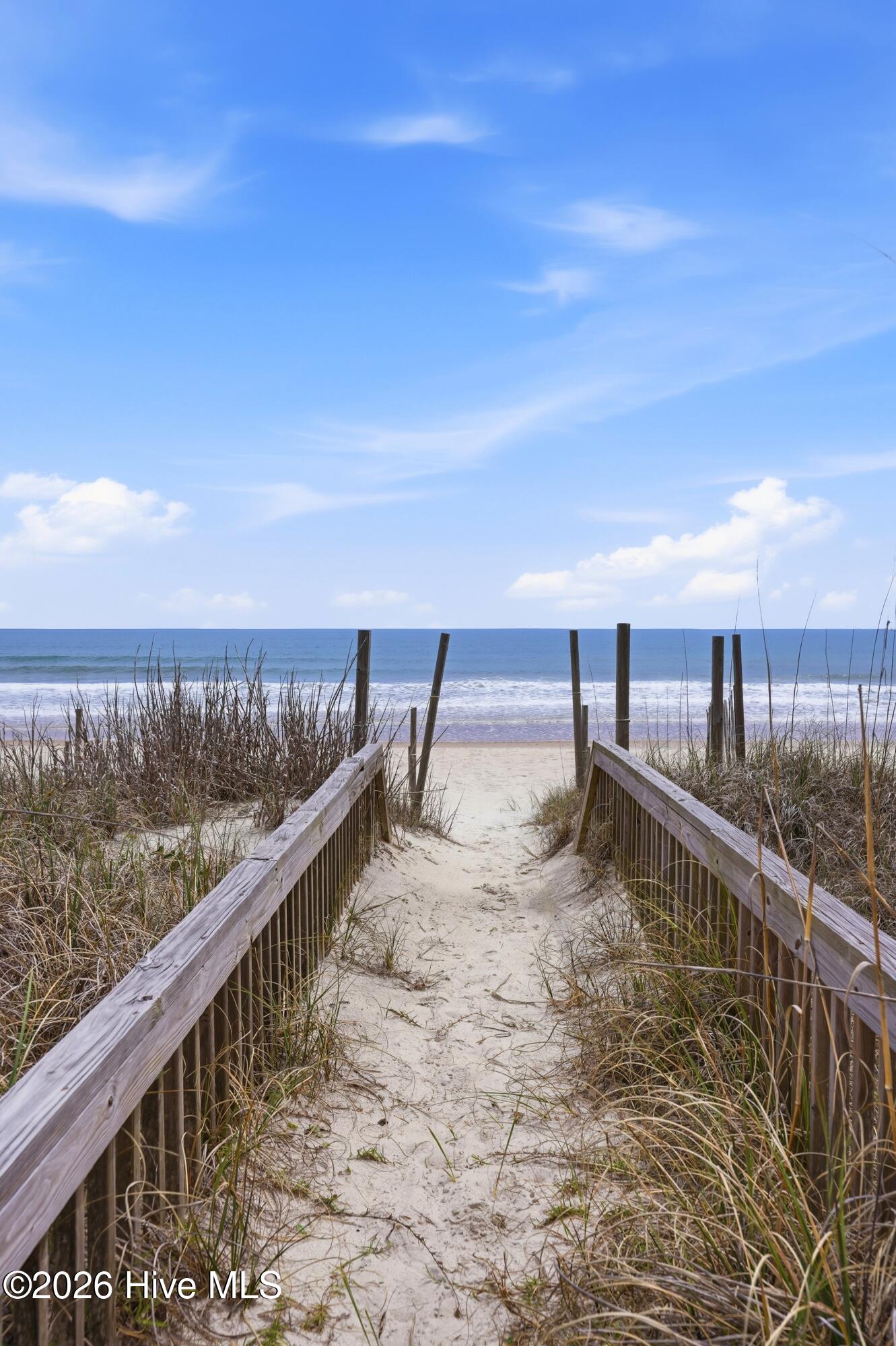 100566063 | Photo 50