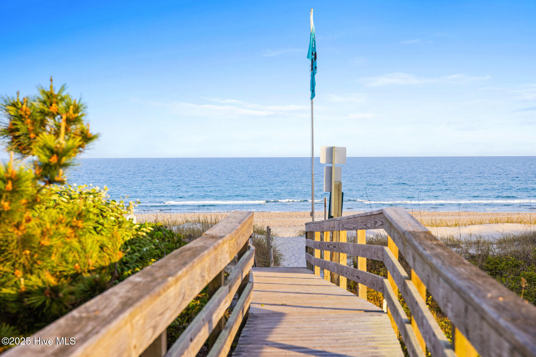 100503545 | Photo 17