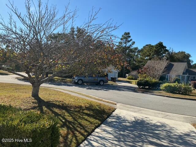 100540003 | Photo 13