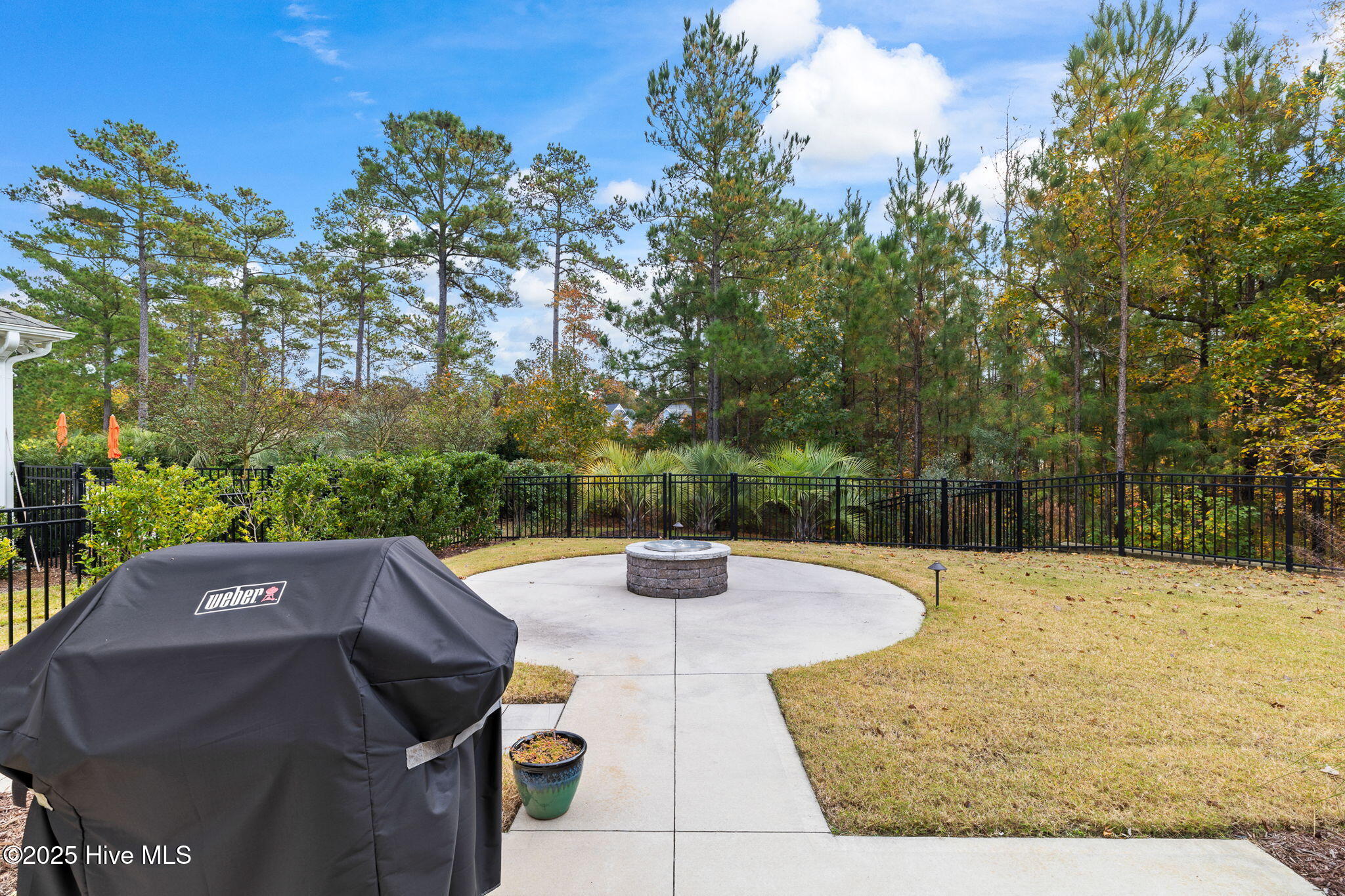 100541273 | Photo 44